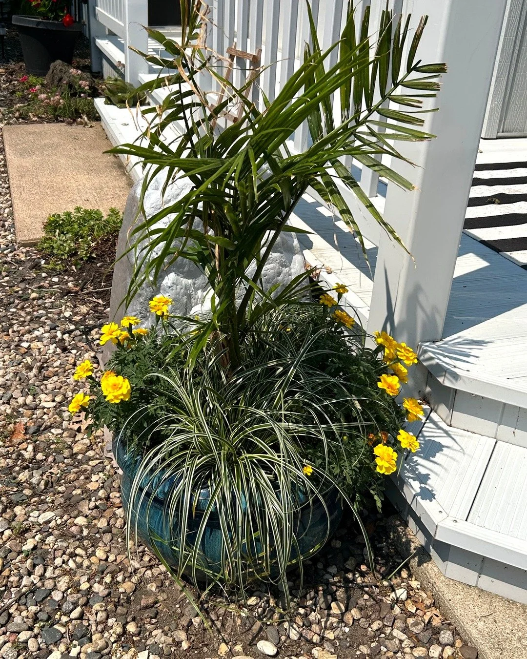 Palm pot by steps