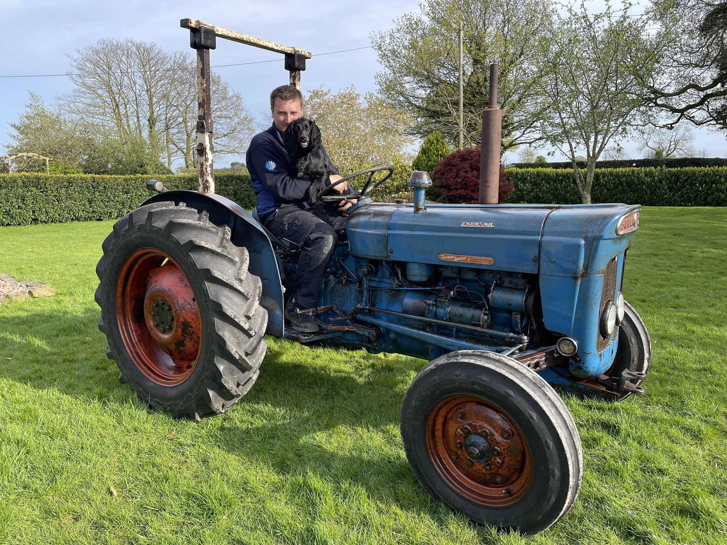 Man holding a black dog while sitting on a vintage blue Fordson tractor in a grassy garden.