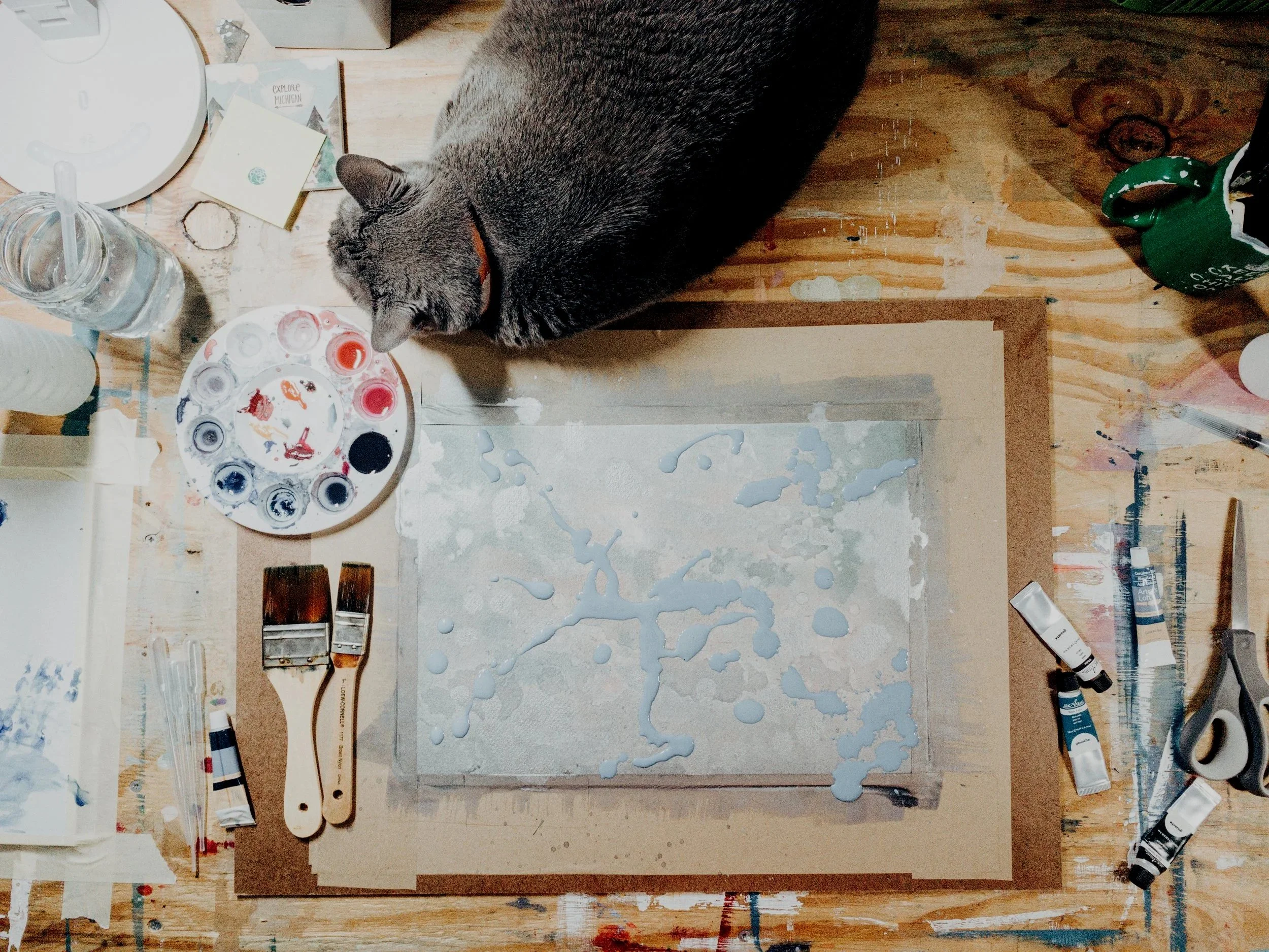 Gray cat resting on a watercolor artist’s worktable surrounded by paintbrushes, palettes, paints, and wet paper.