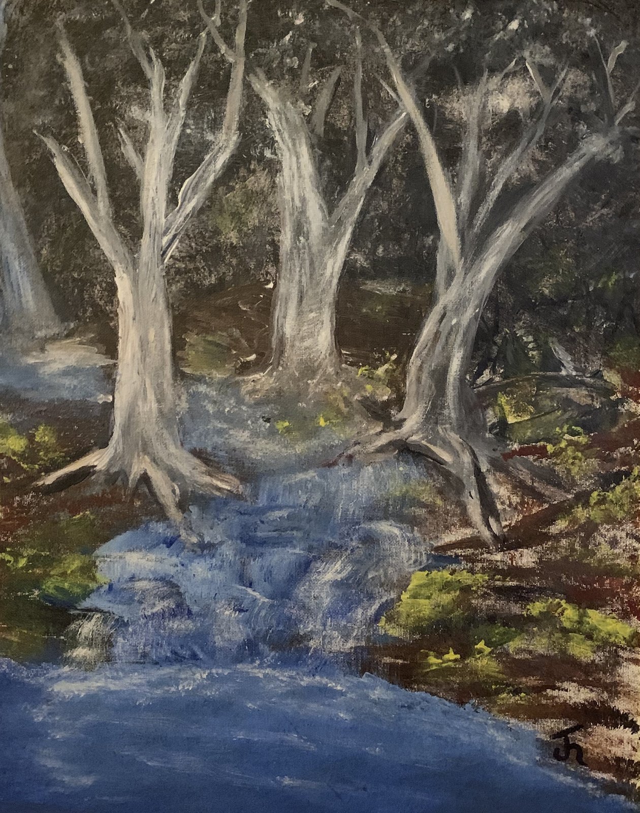 Enchanted Forest