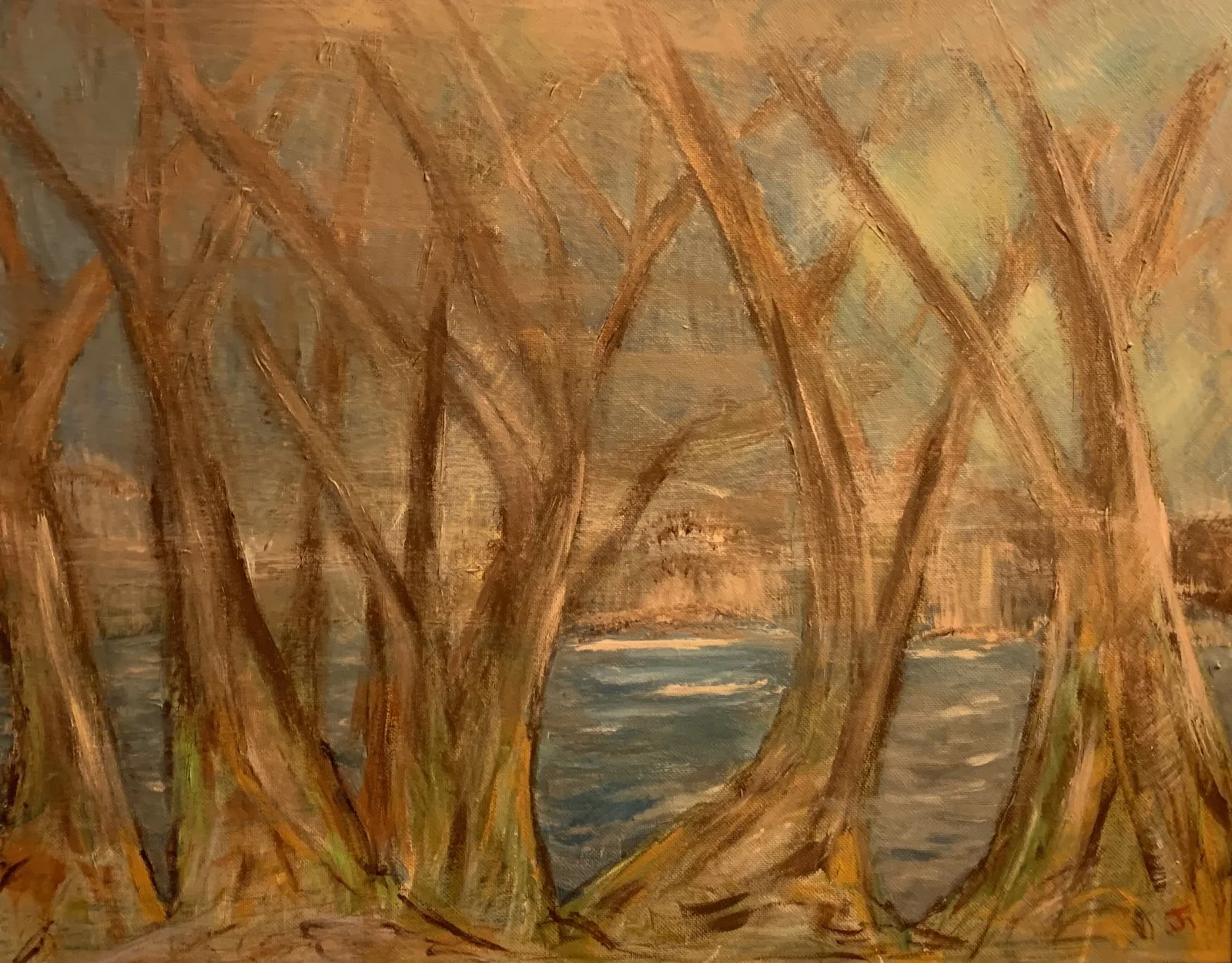 Untitled (Tall Trees by the Water)
