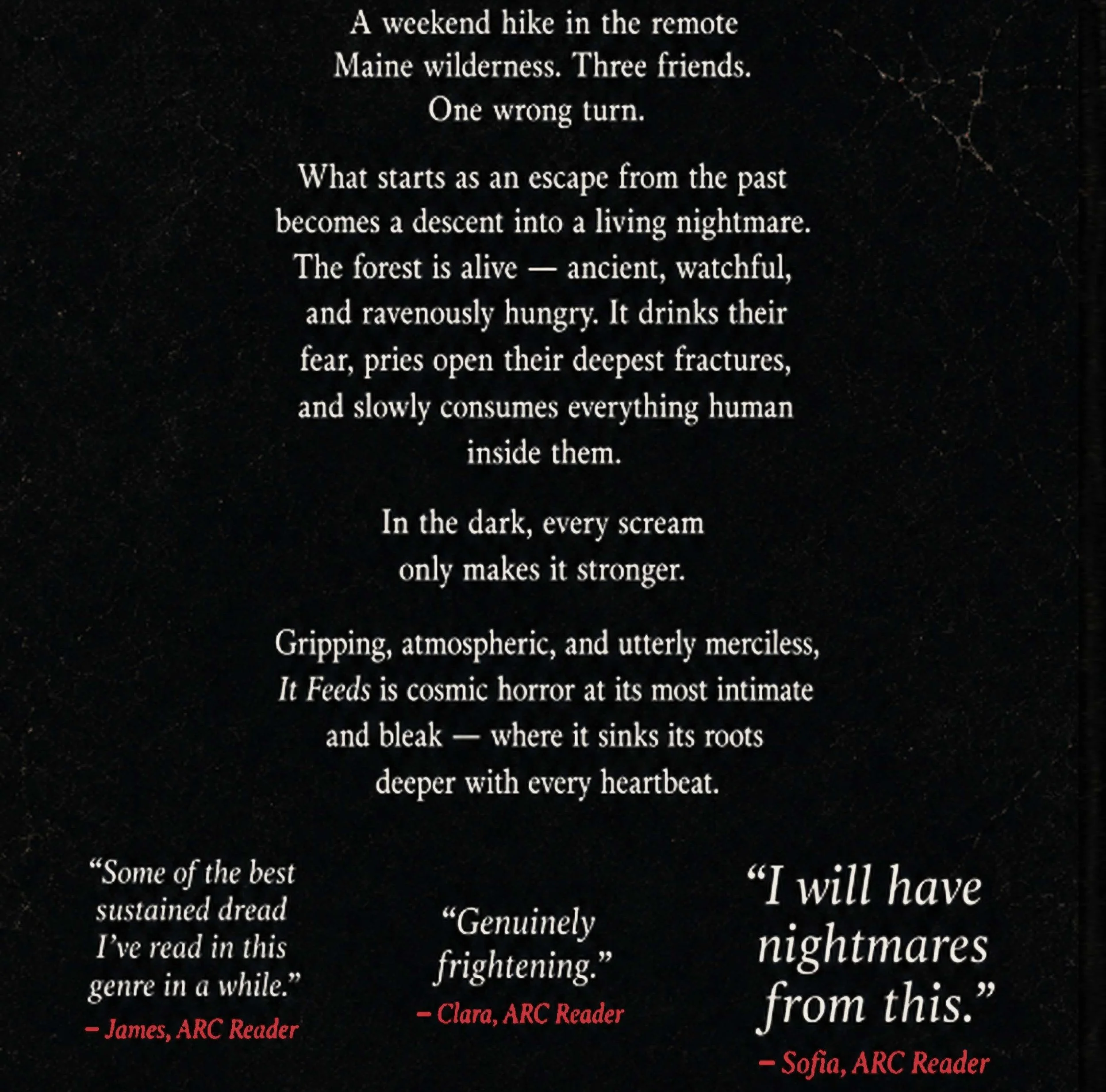 Back NEWEST for kindle.jpg