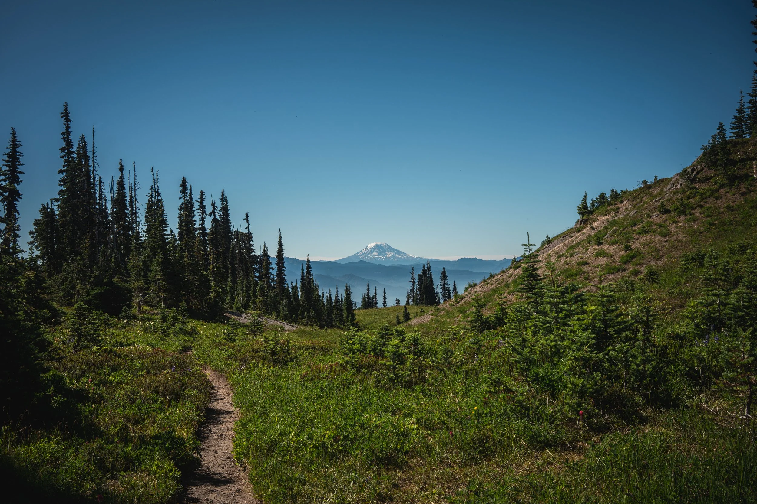 Mount Rainier-17.jpg