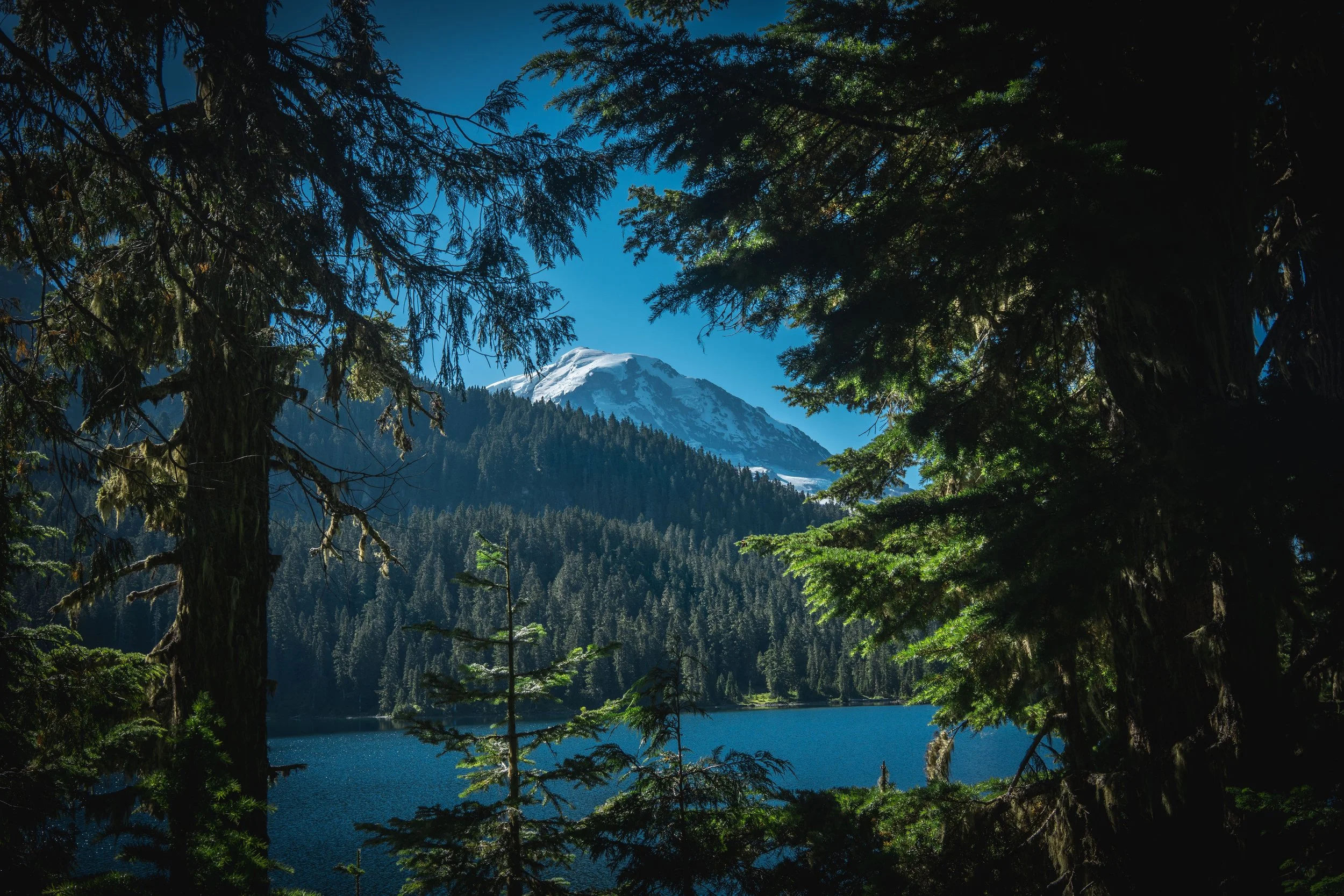 Mount Rainier-35.jpg