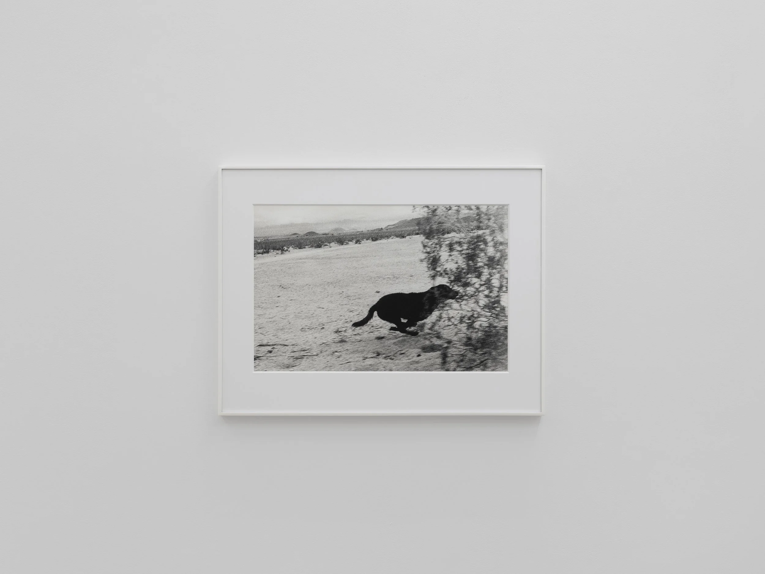 _DSF1394-3(sml).jpg