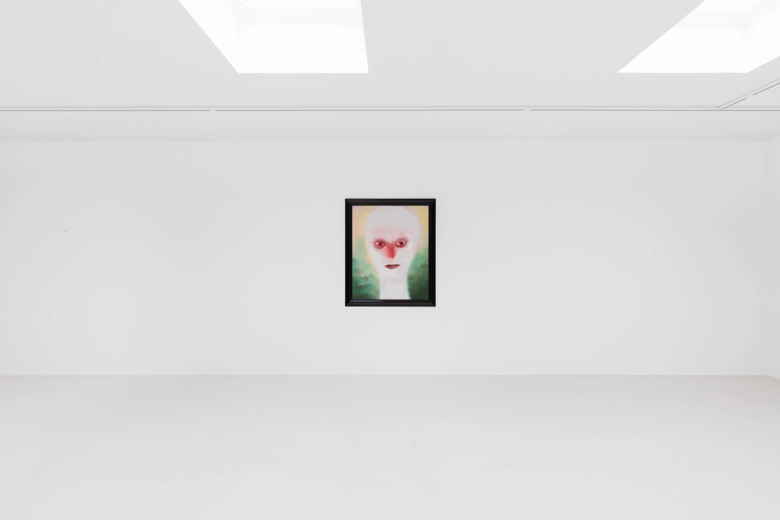 (afterimage)_Exhibition view_HD_©Silvia Cappellari (2).jpg.jpg