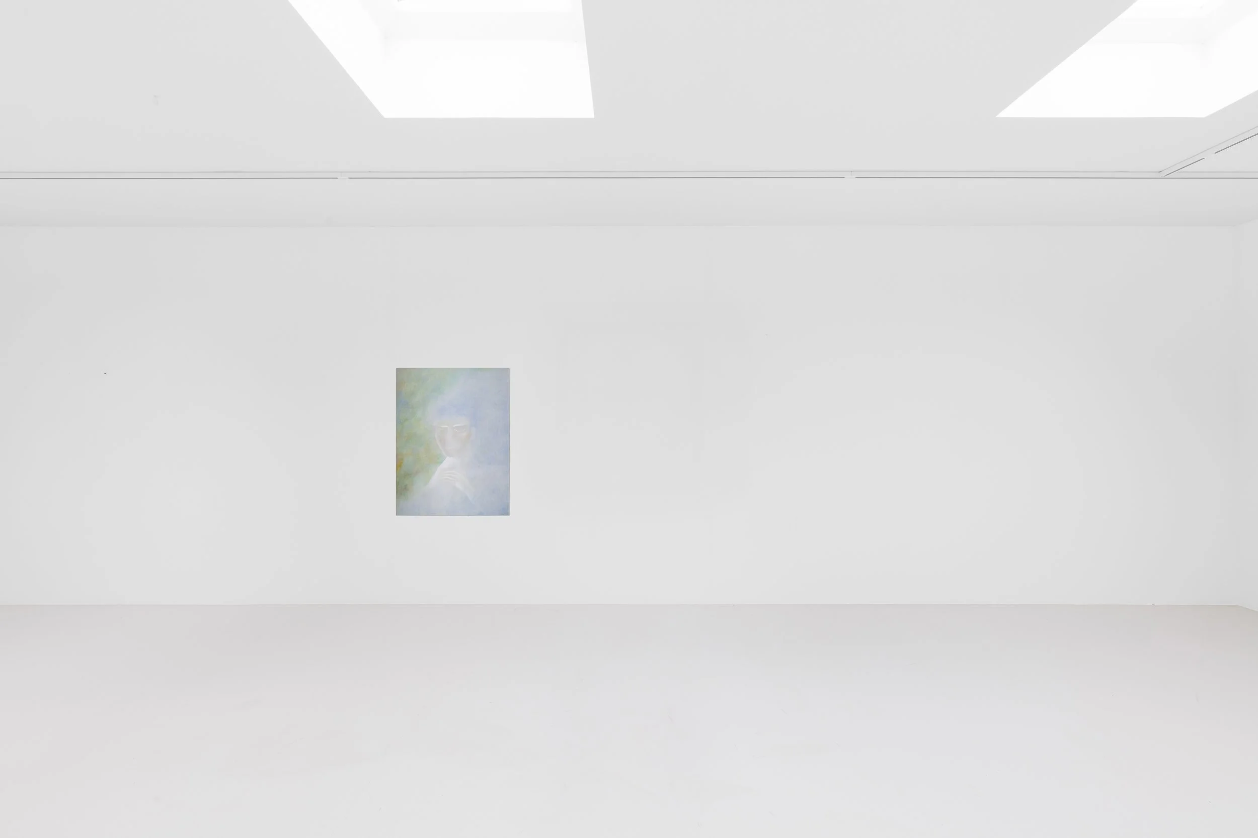 (afterimage)_Exhibition view_HD_©Silvia Cappellari.jpg(4).jpg