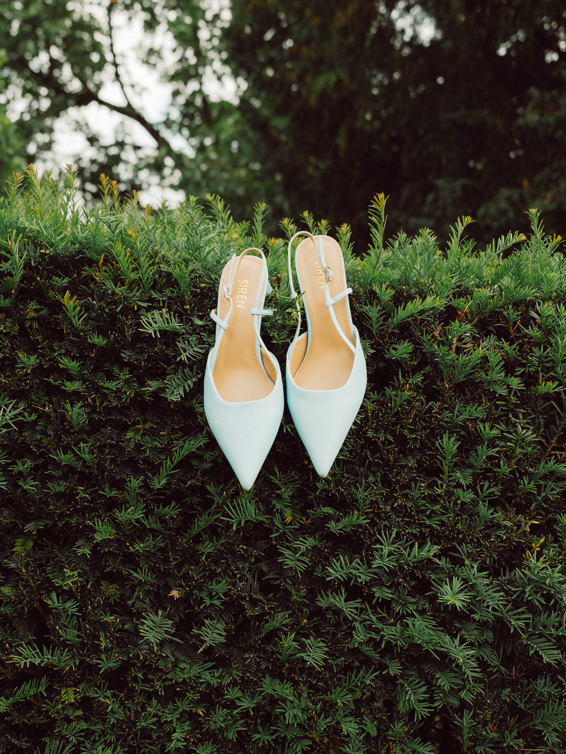 Wedding Web-06.jpg