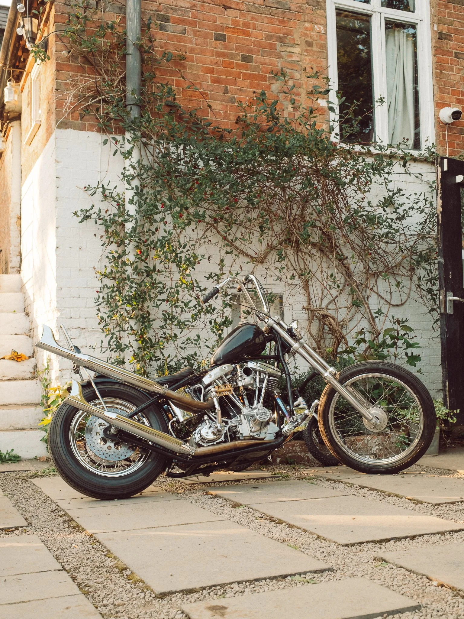 Custom chrome chopper motorcycle parked beside a brick house with climbing vines and a white-framed window