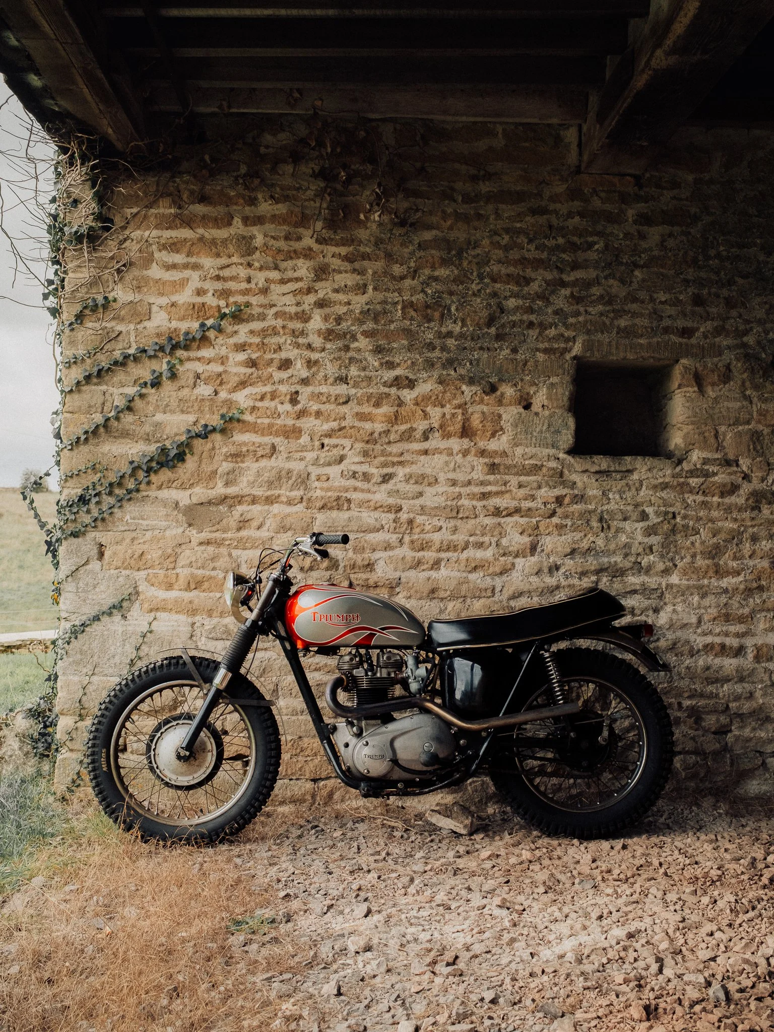 Vintage Triumph motorcycle parked beside an ivy-covered stone wall