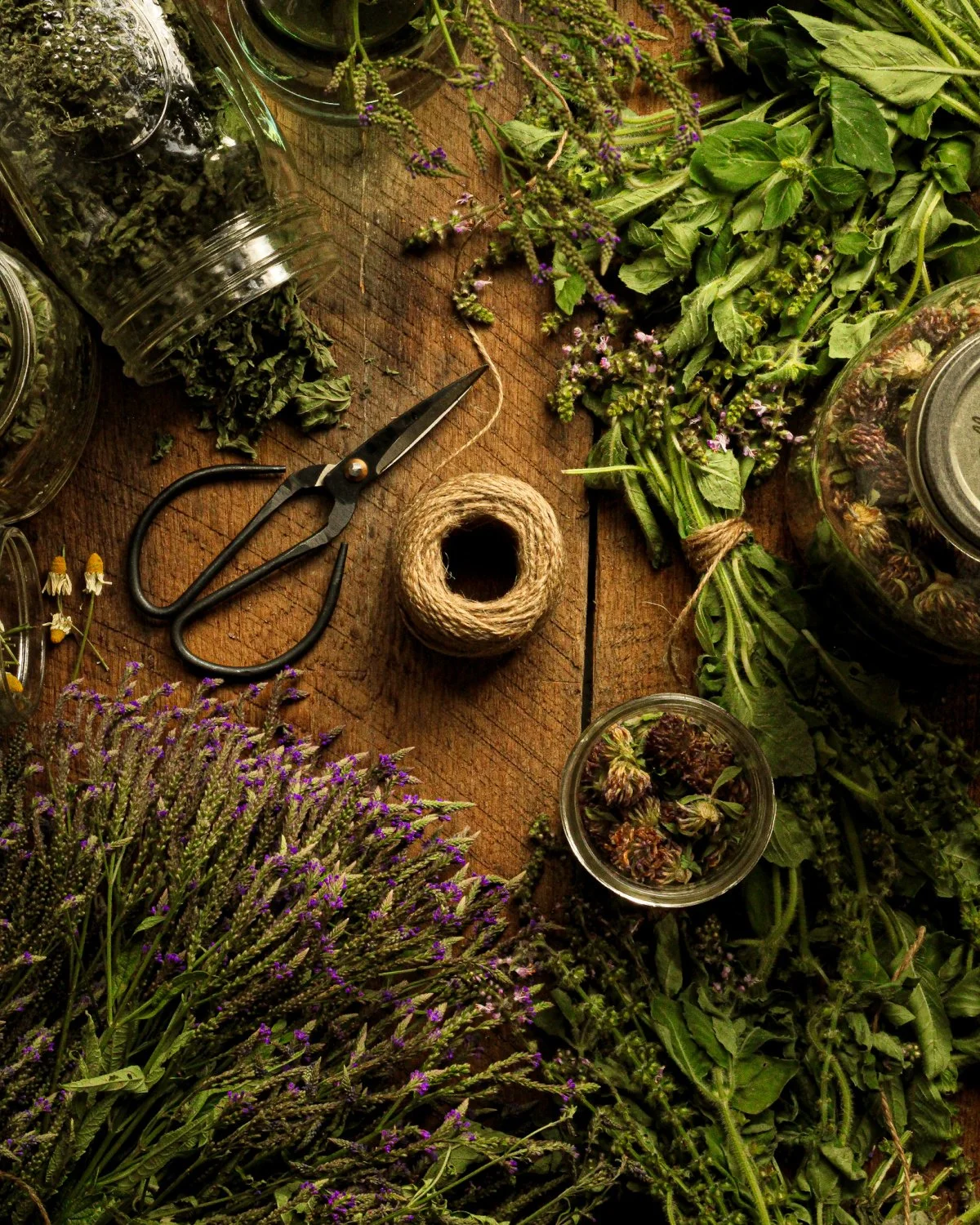 Top-down view of dried herbs and purple wildflowers, glass jars, pruning shears, twine, and fresh greenery arranged on a rustic wooden table.