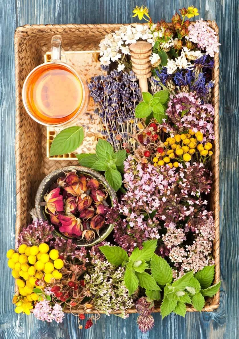 Top-down view of herbal tea, dried roses, mint leaves, lavender, and colorful dried flowers arranged in a woven basket.