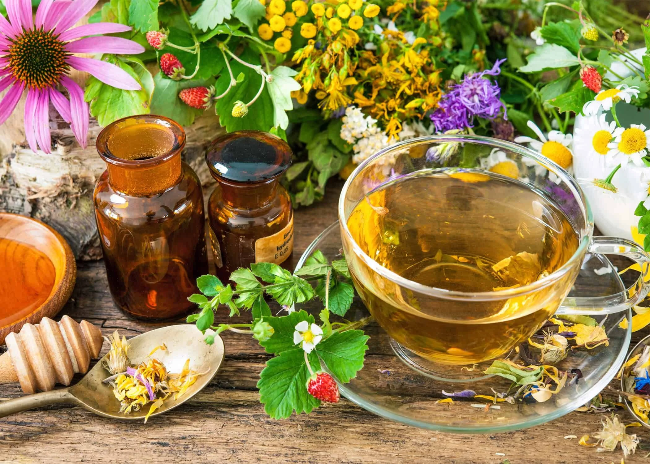 Herbal tea in a glass cup surrounded by medicinal flowers, fresh herbs, amber bottles, honey, and dried botanicals