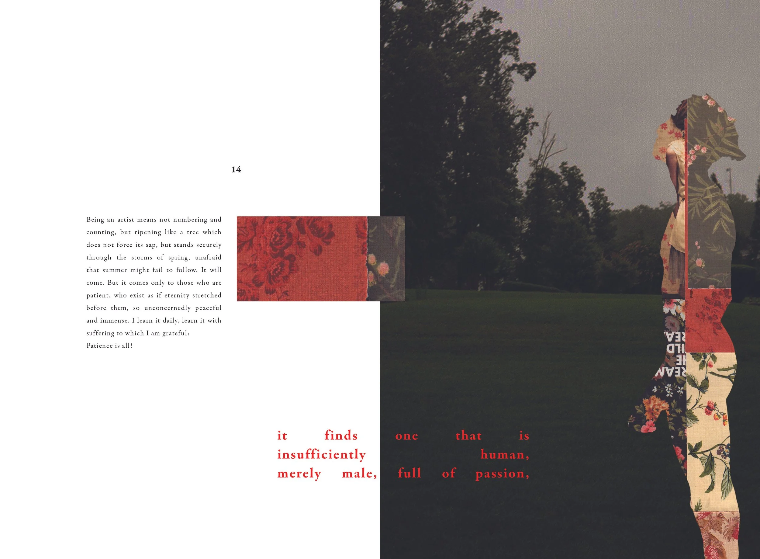 Letters to a Young Poet