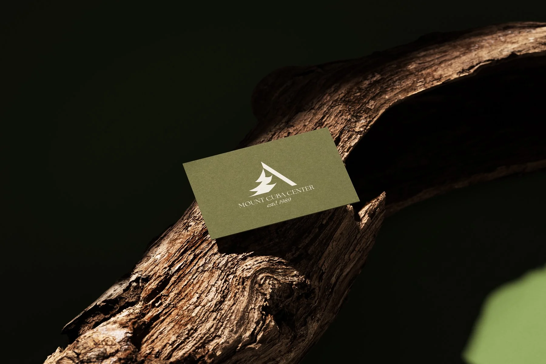 business-card.jpg