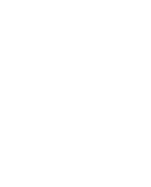 Loimaan Kamerat ry