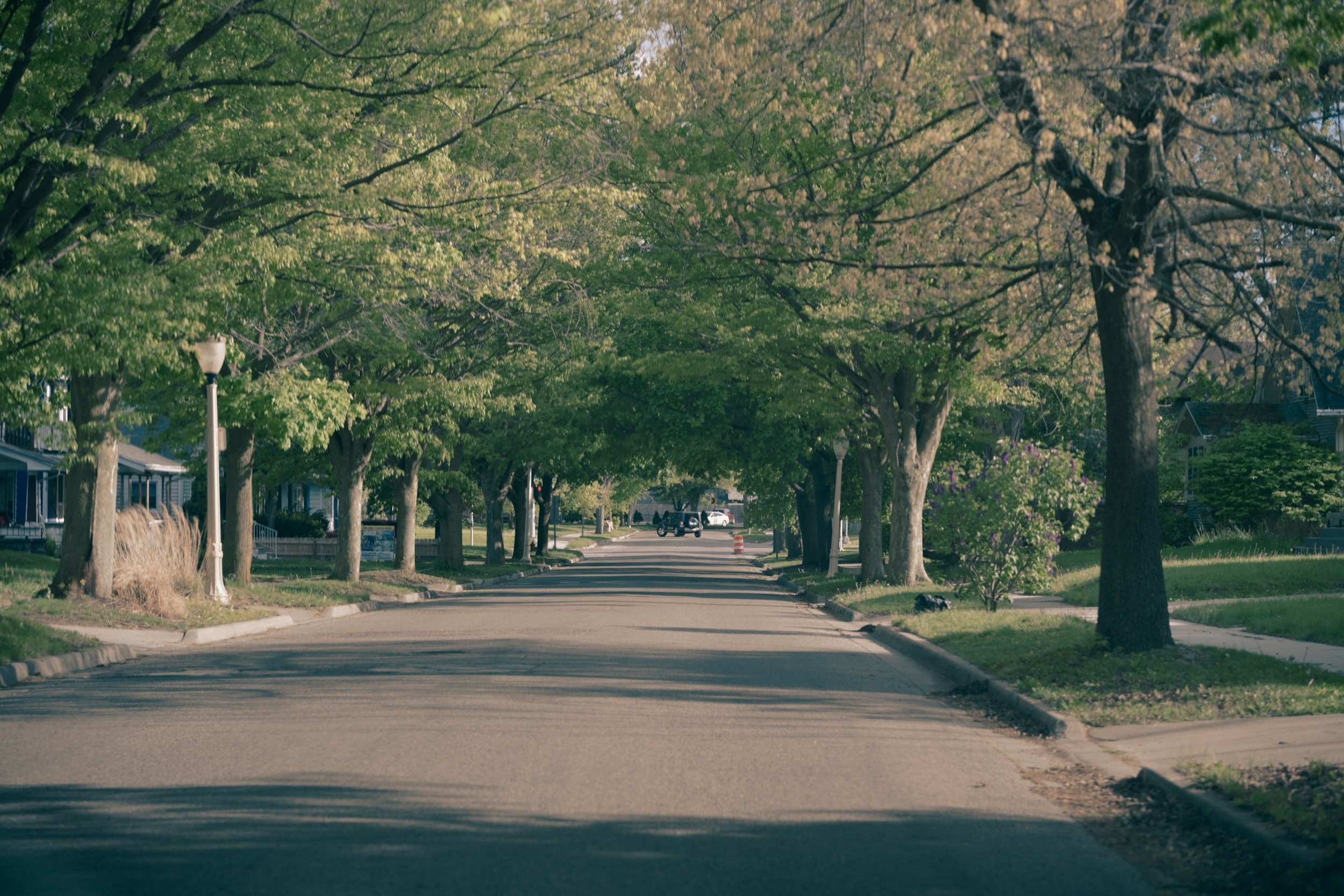 Tree-lined residential street in a Long Island neighborhood
