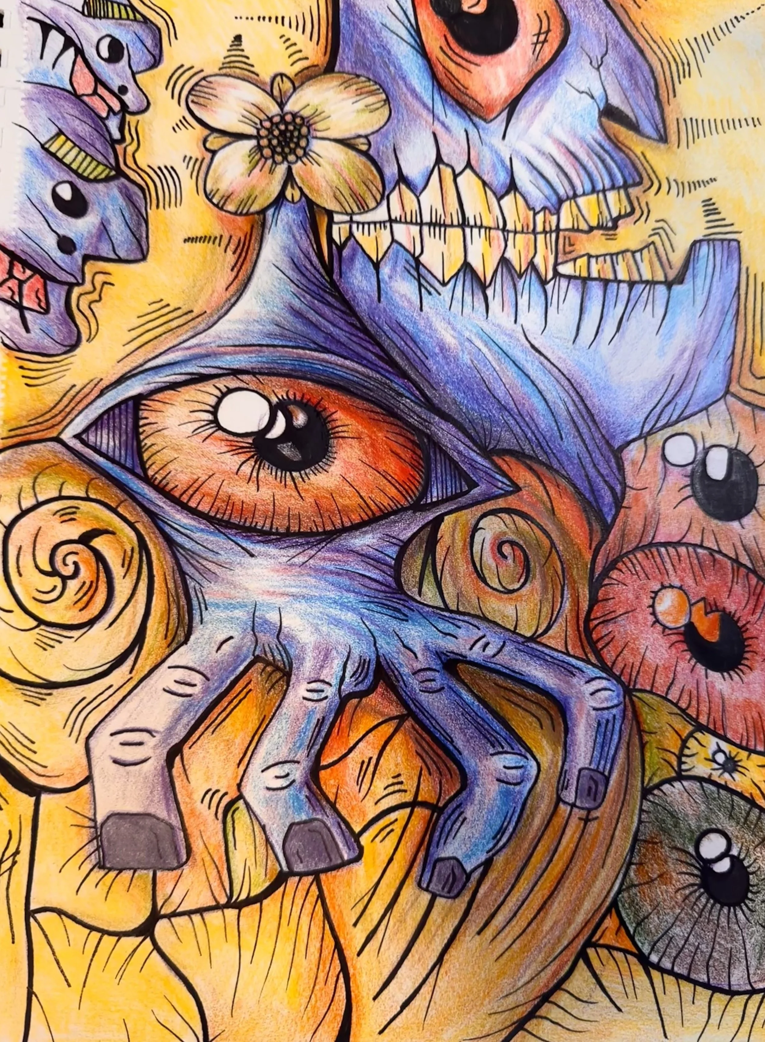 Eyes.jpeg