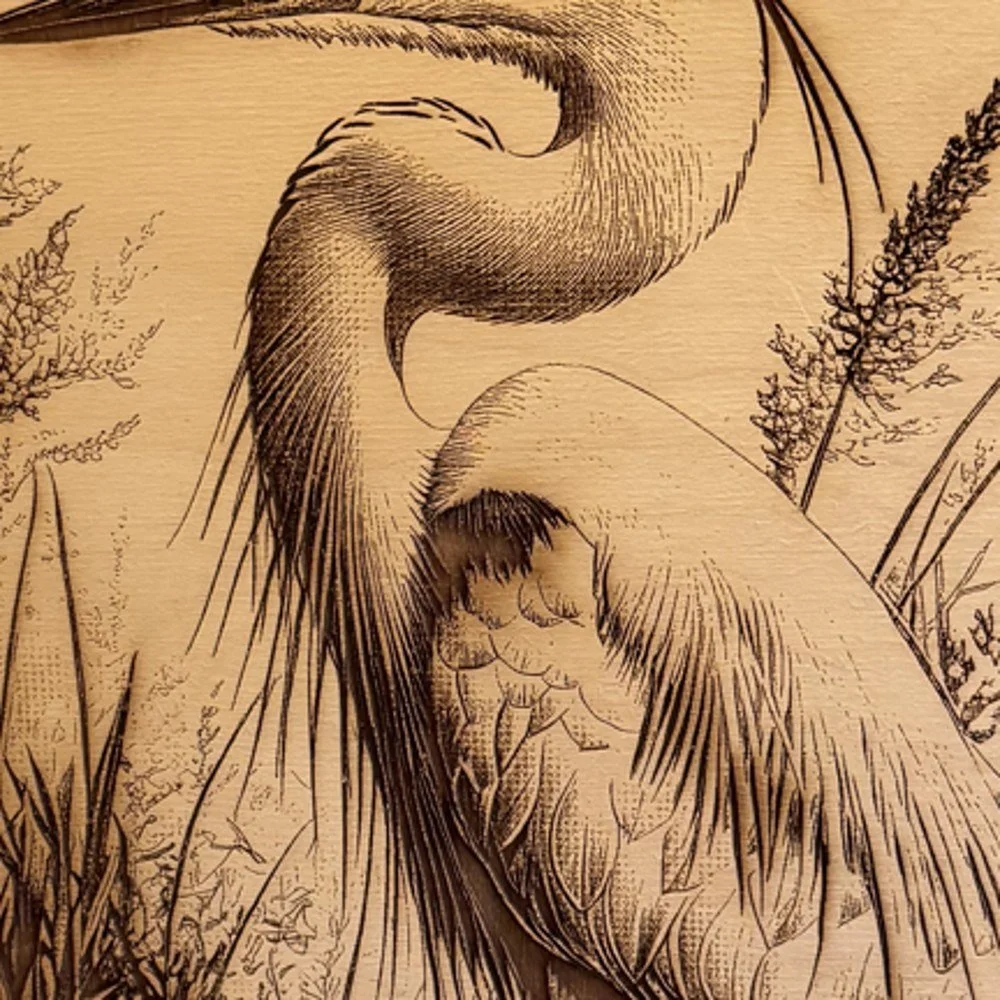 E06-closeup.jpg