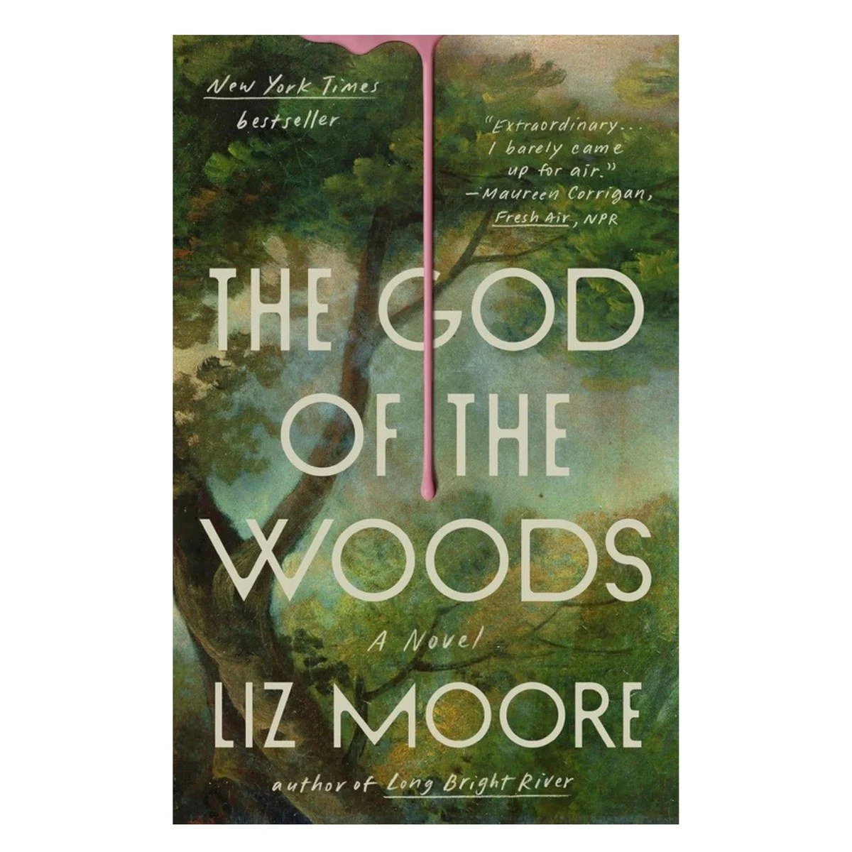 The God of the Woods by Liz Moore book cover