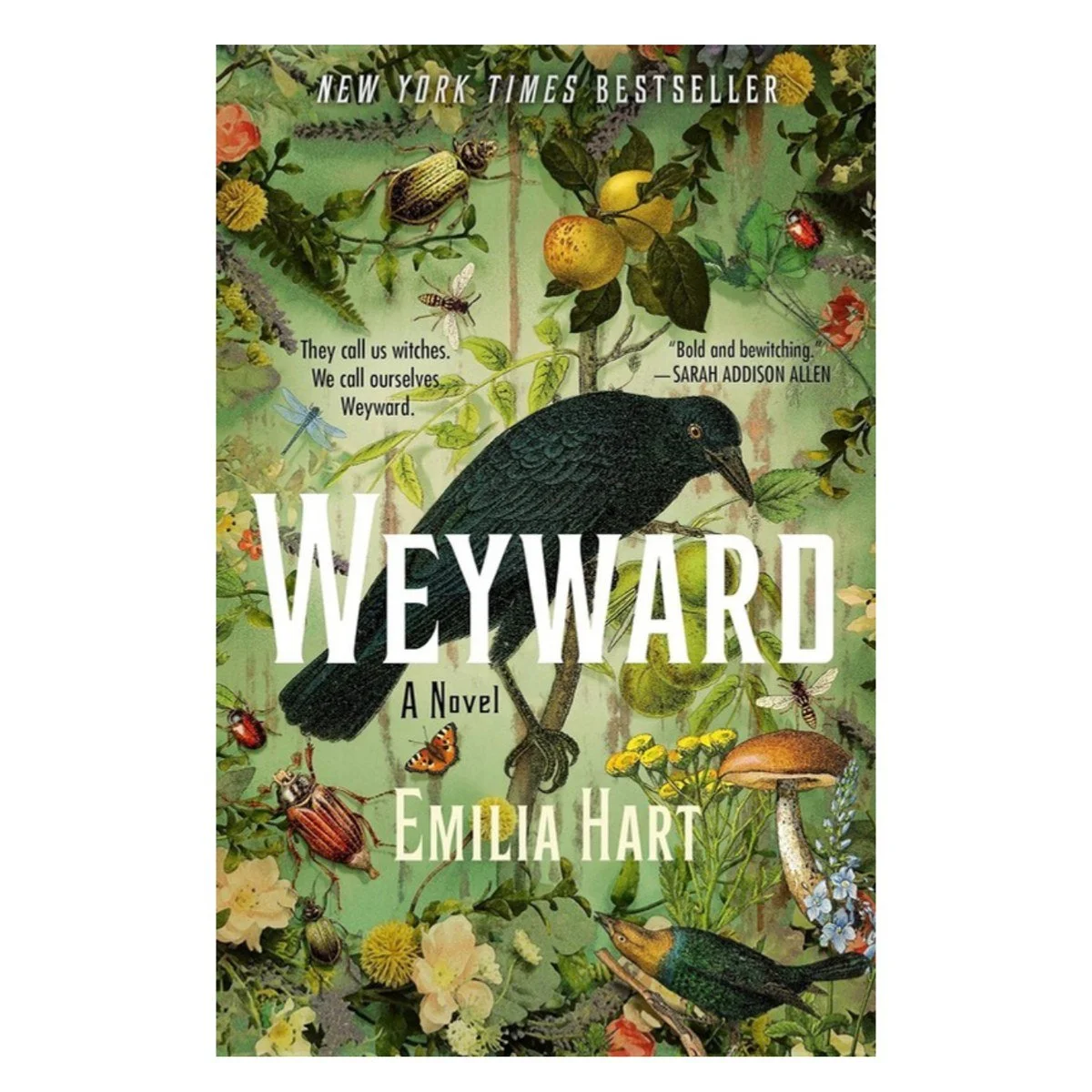 Weyward by Emilia Hart book cover