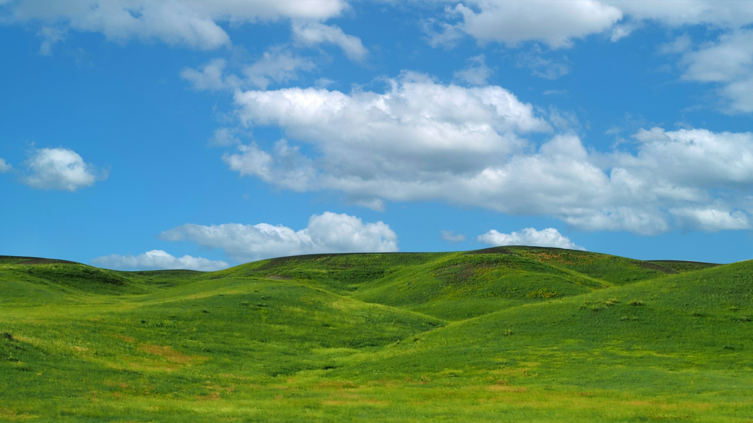 Rolling green hills beneath a bright blue sky with scattered white clouds