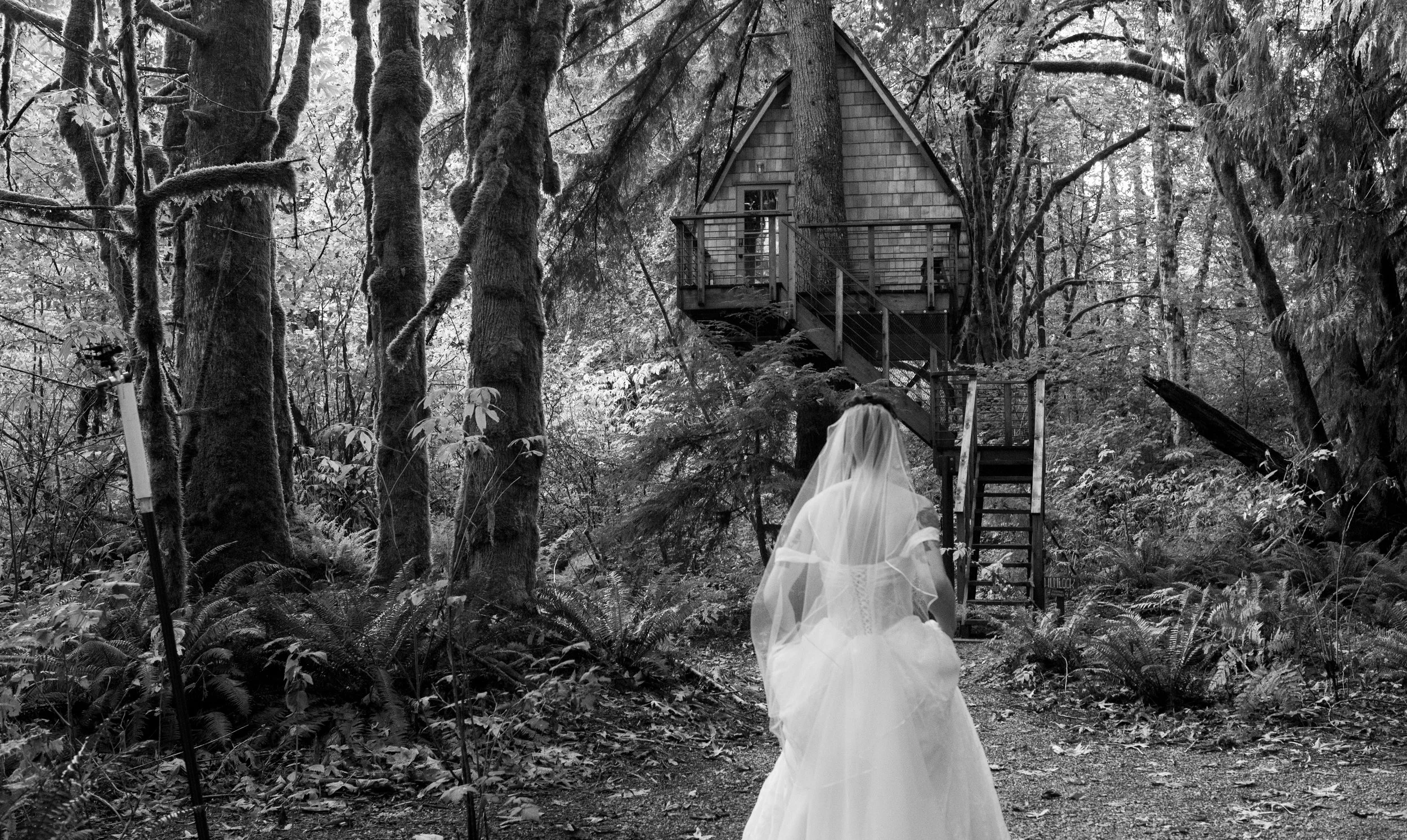 Black-and-white forest scene with a veiled figure in a white gown approaching a treehouse surrounded by moss-covered trees and ferns.