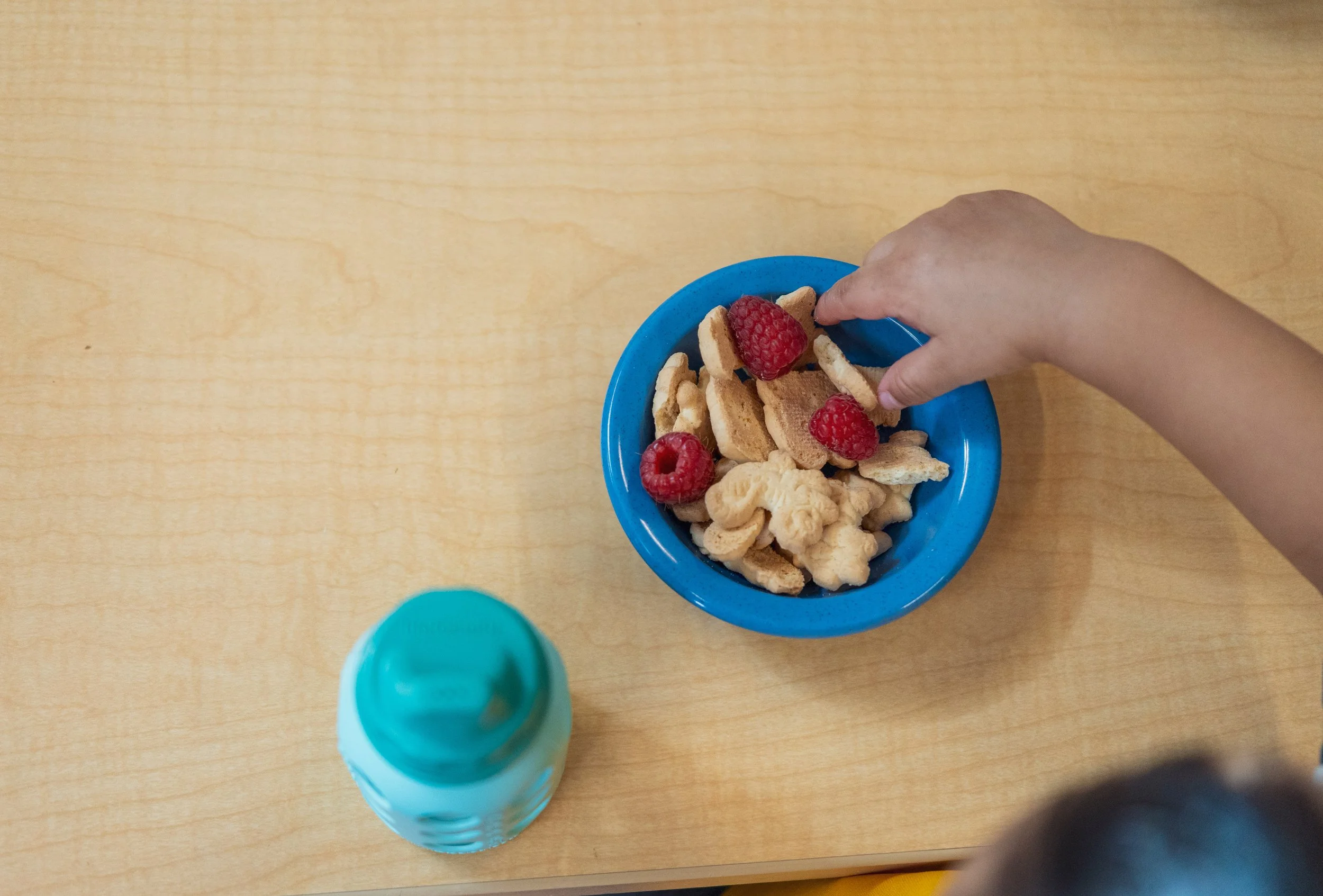 20250331-DSC02466.jpg