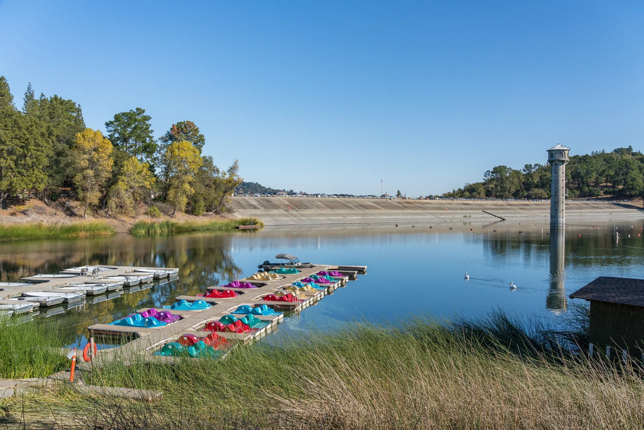 Pedal boats and rental boats on a calm lake beneath a clear blue sky, with a concrete dam and water tower in the background