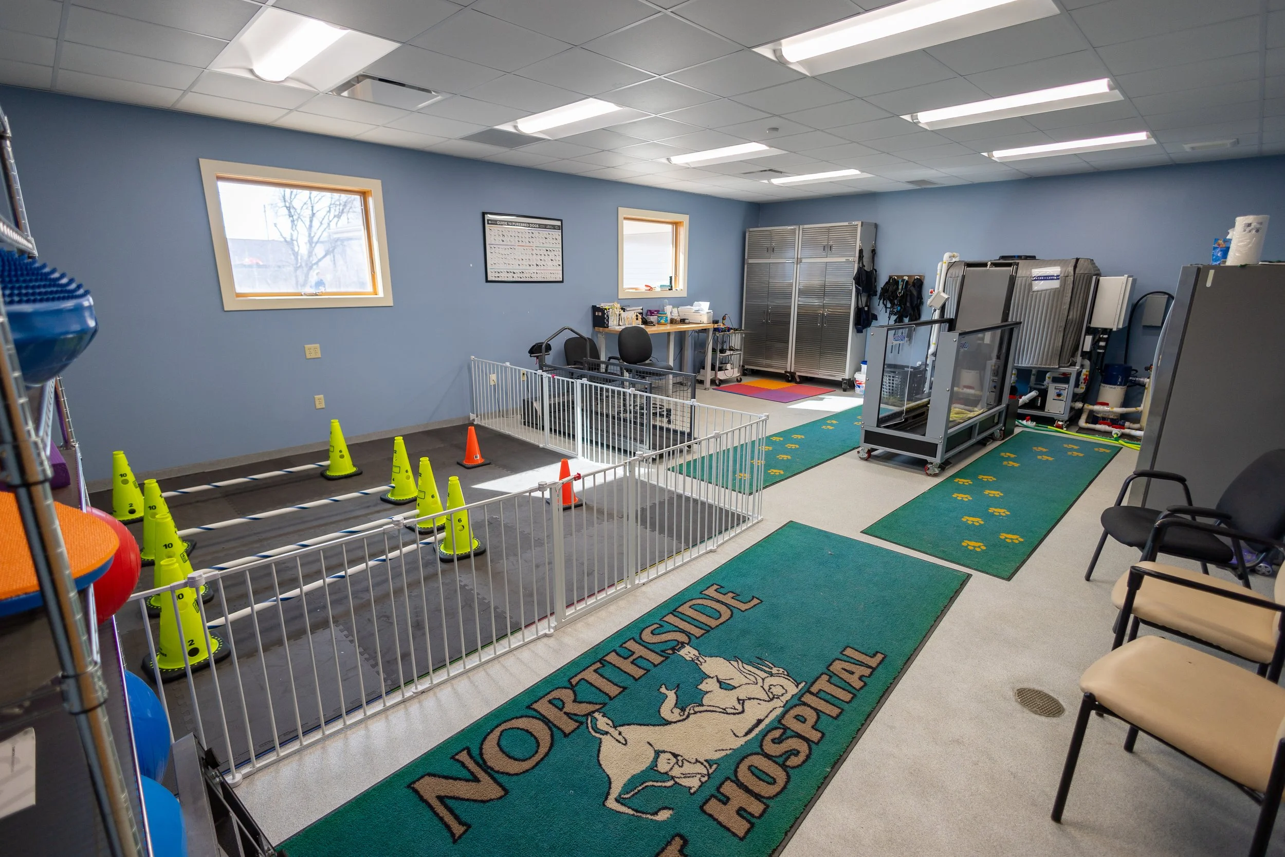 Animal Hospital Eau Claire.jpg