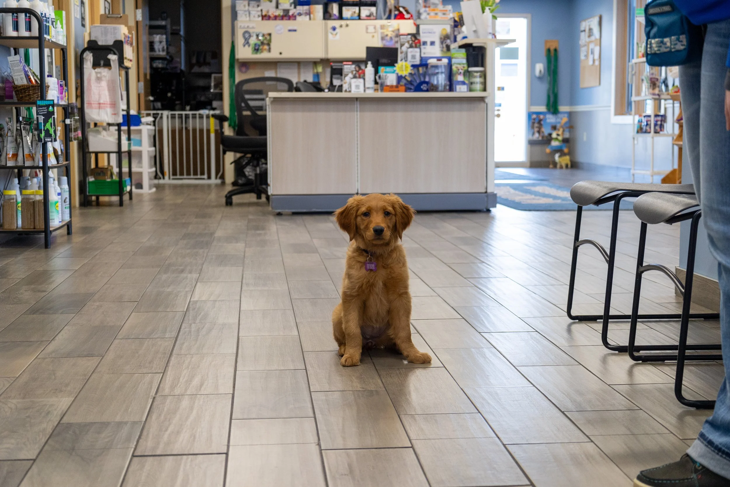 Vet Clinic- Eau Claire.jpg