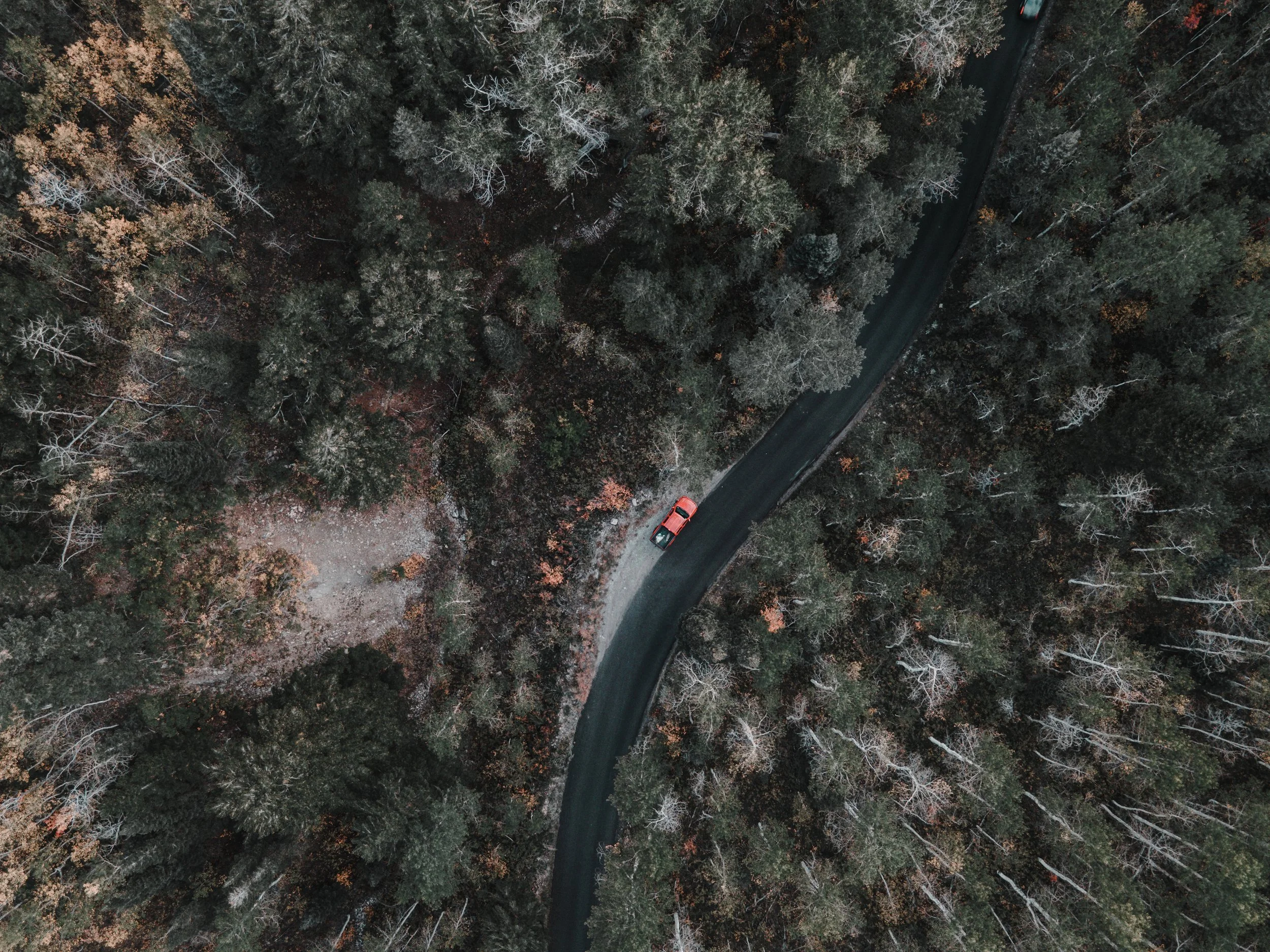 DJI_0098.jpg