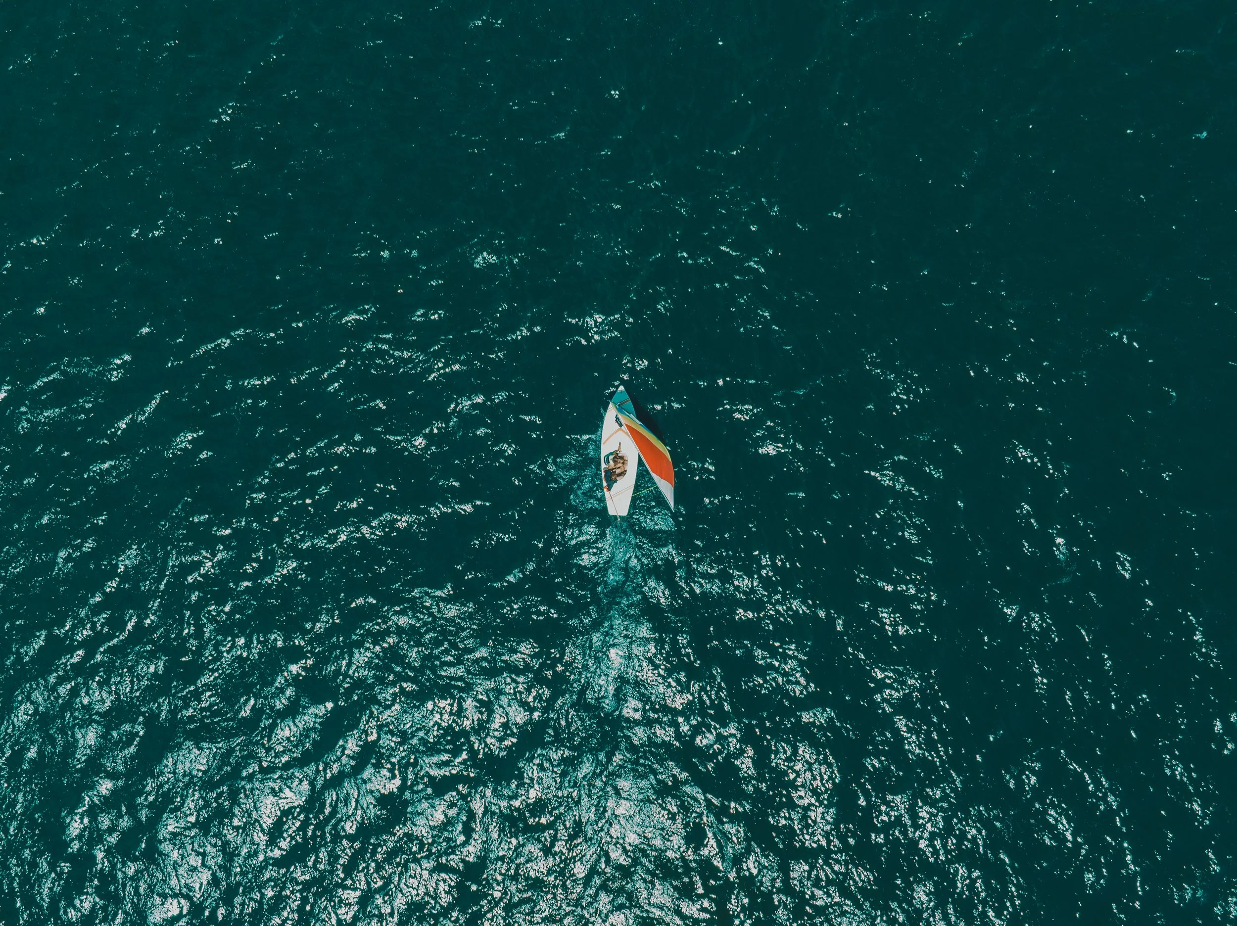 DJI_0355.jpg