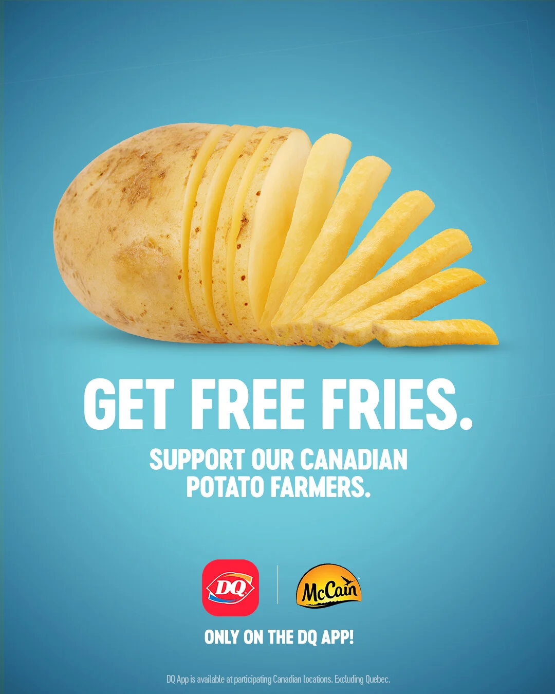 DQ_SOCIAL_FARMERFRIES-static_02.jpg