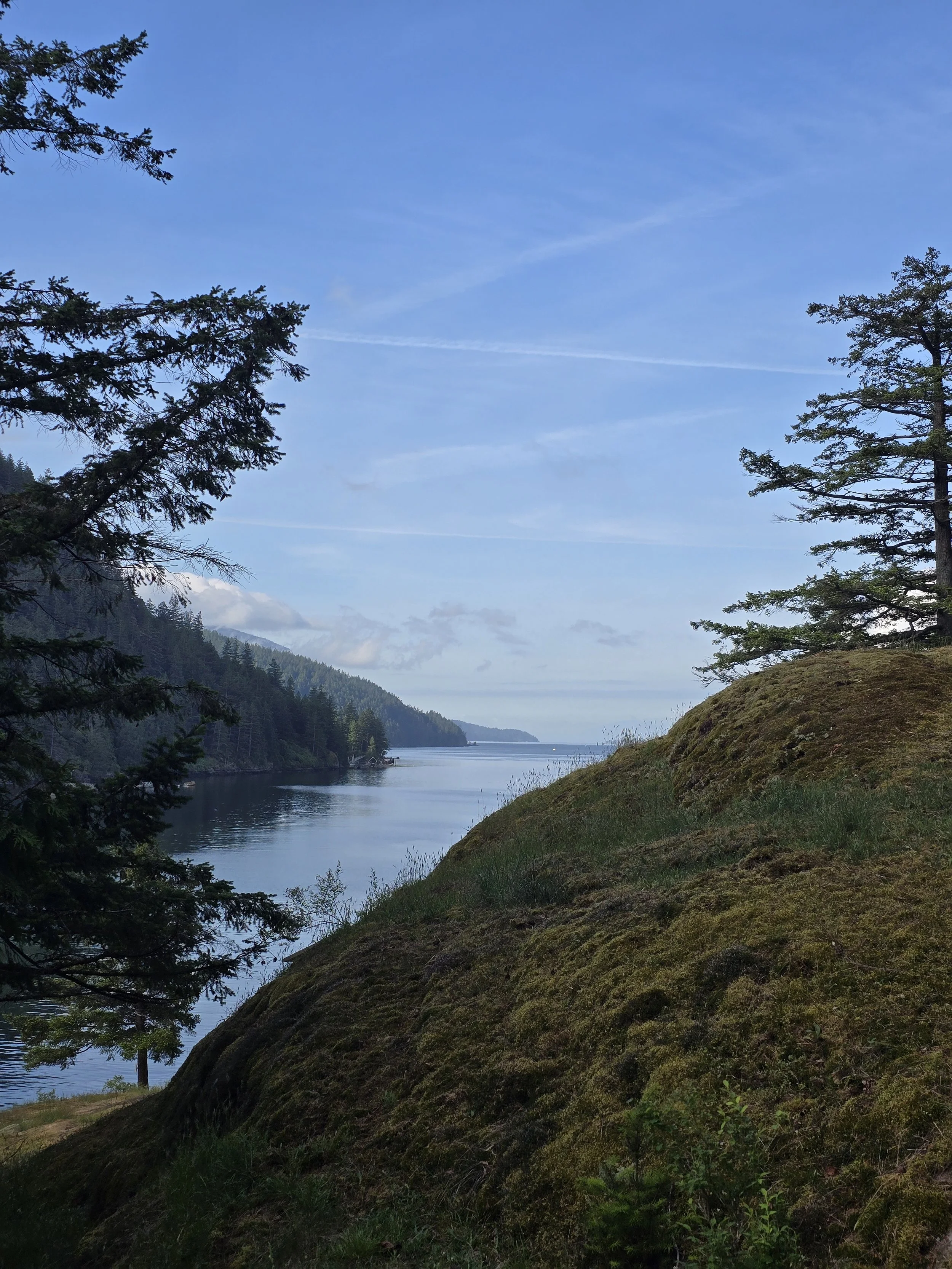 Scenic forested lake inlet framed by evergreen trees, mossy hillside, and a blue sky with wispy clouds