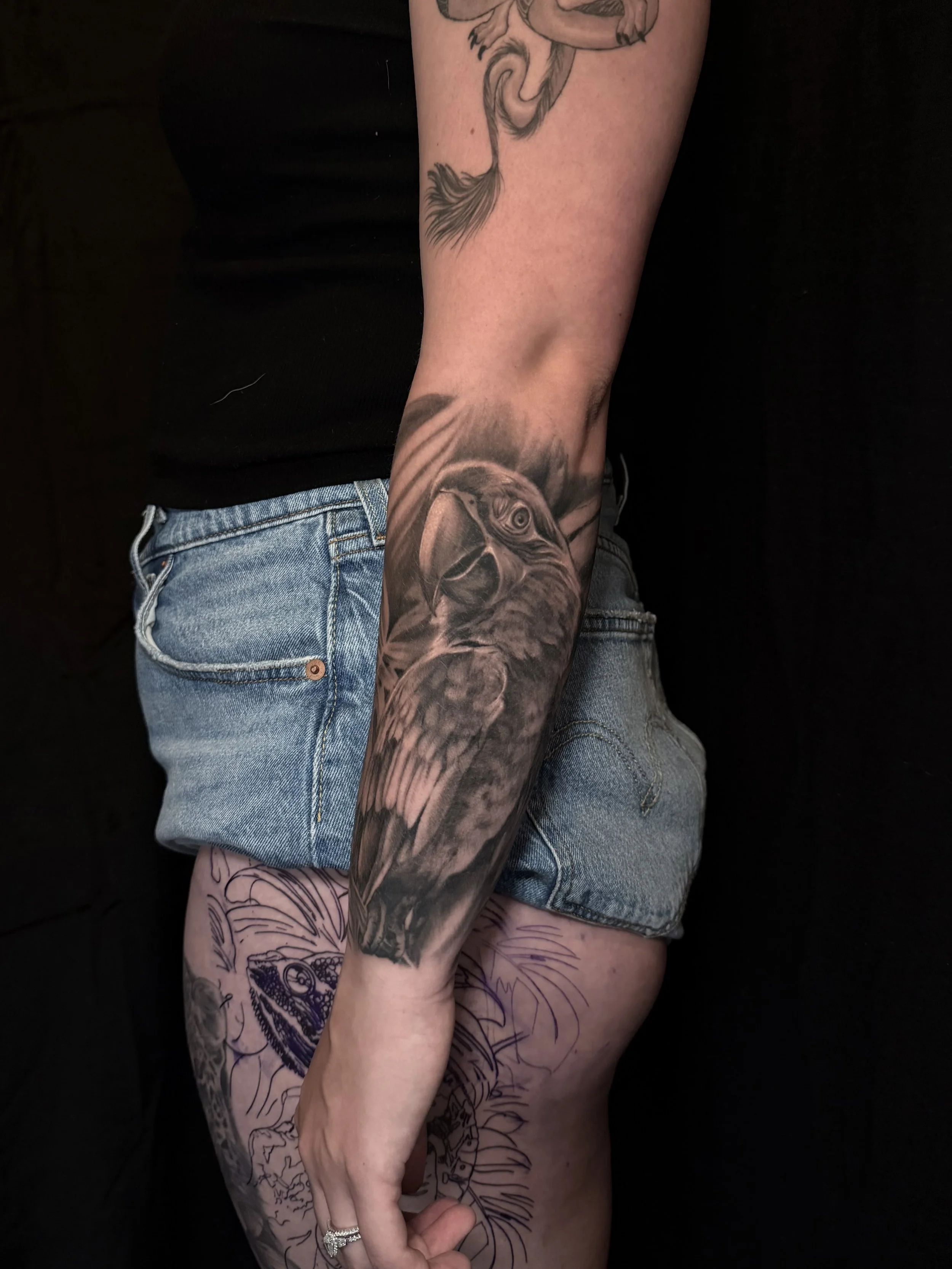 Close-up of a tattooed arm featuring a detailed black-and-gray animal portrait, with additional tattoo designs visible on the legs.