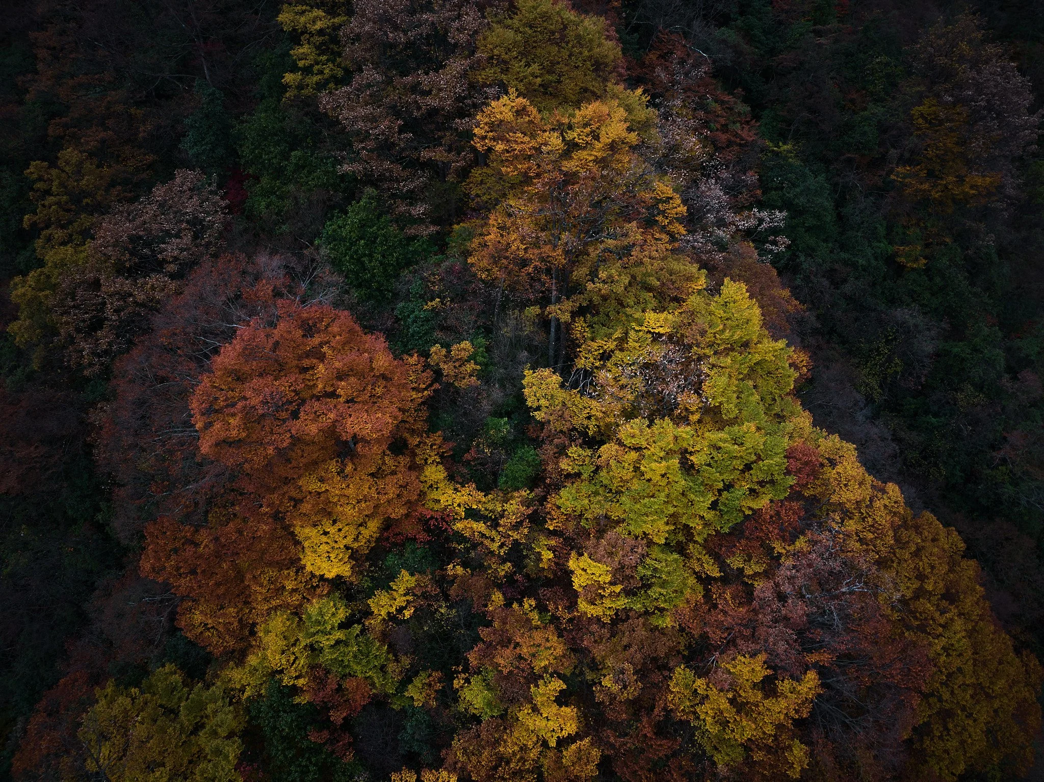 光雾山.jpg