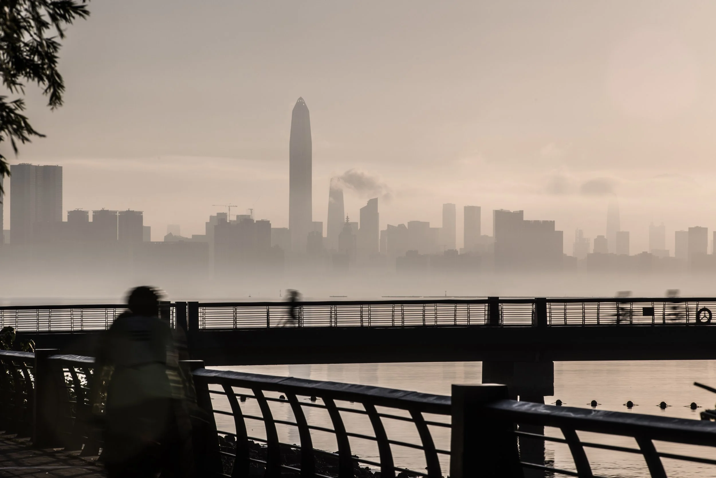 深圳湾.jpg