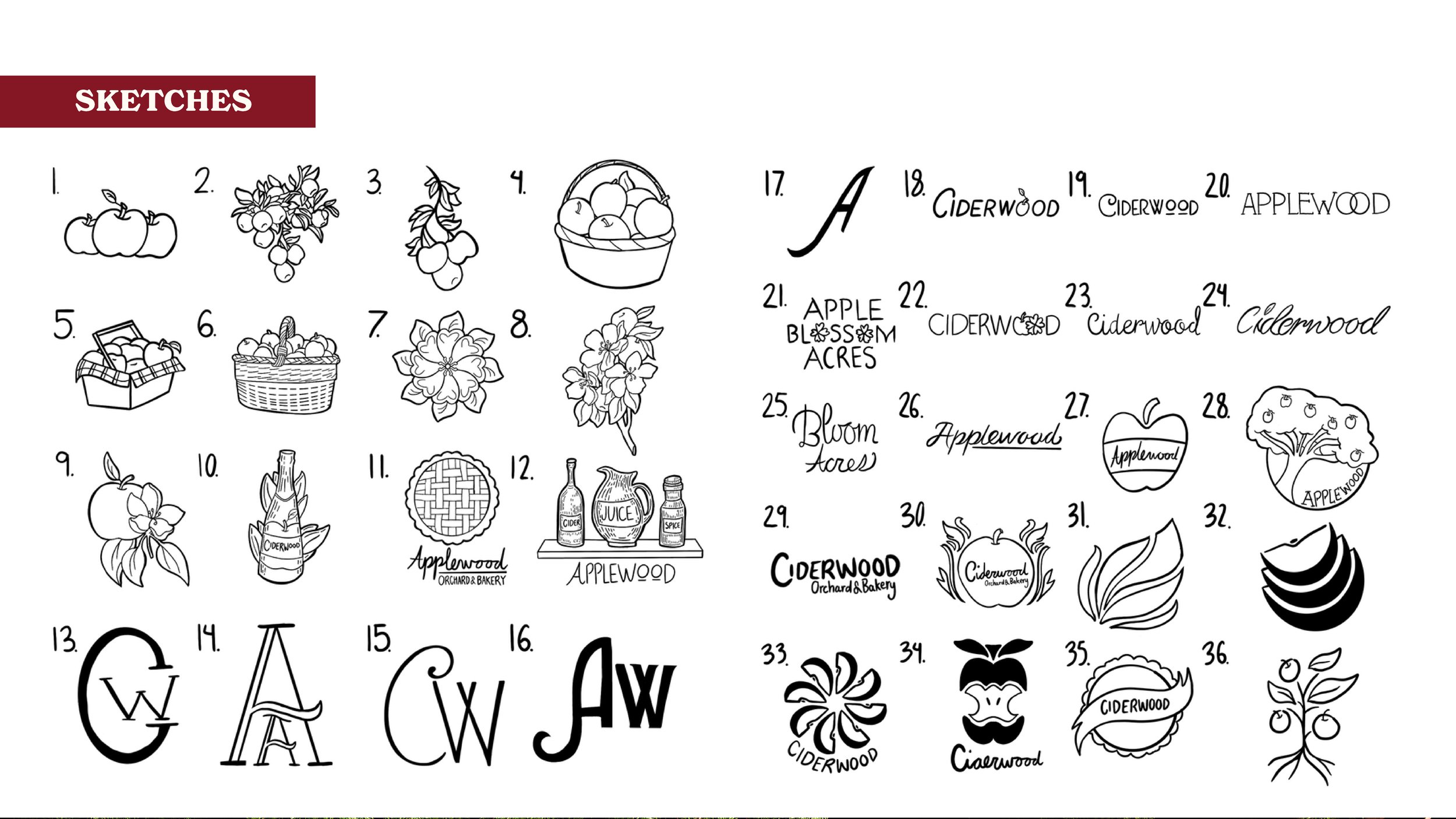 Sheet of 36 black-and-white logo sketches featuring apples, apple blossoms, baskets, cider, and Applewood or Ciderwood lettering.
