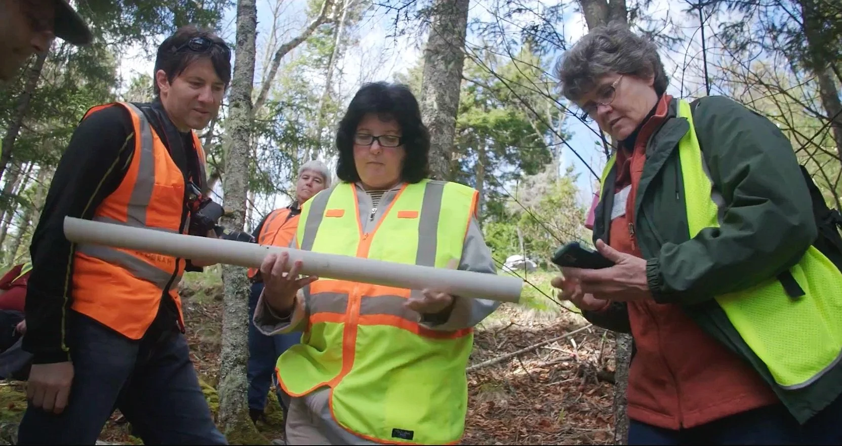 Scientists in safety vests examining a pipe in the woods, still from Scientists Working in Our Parks for the National Park Service