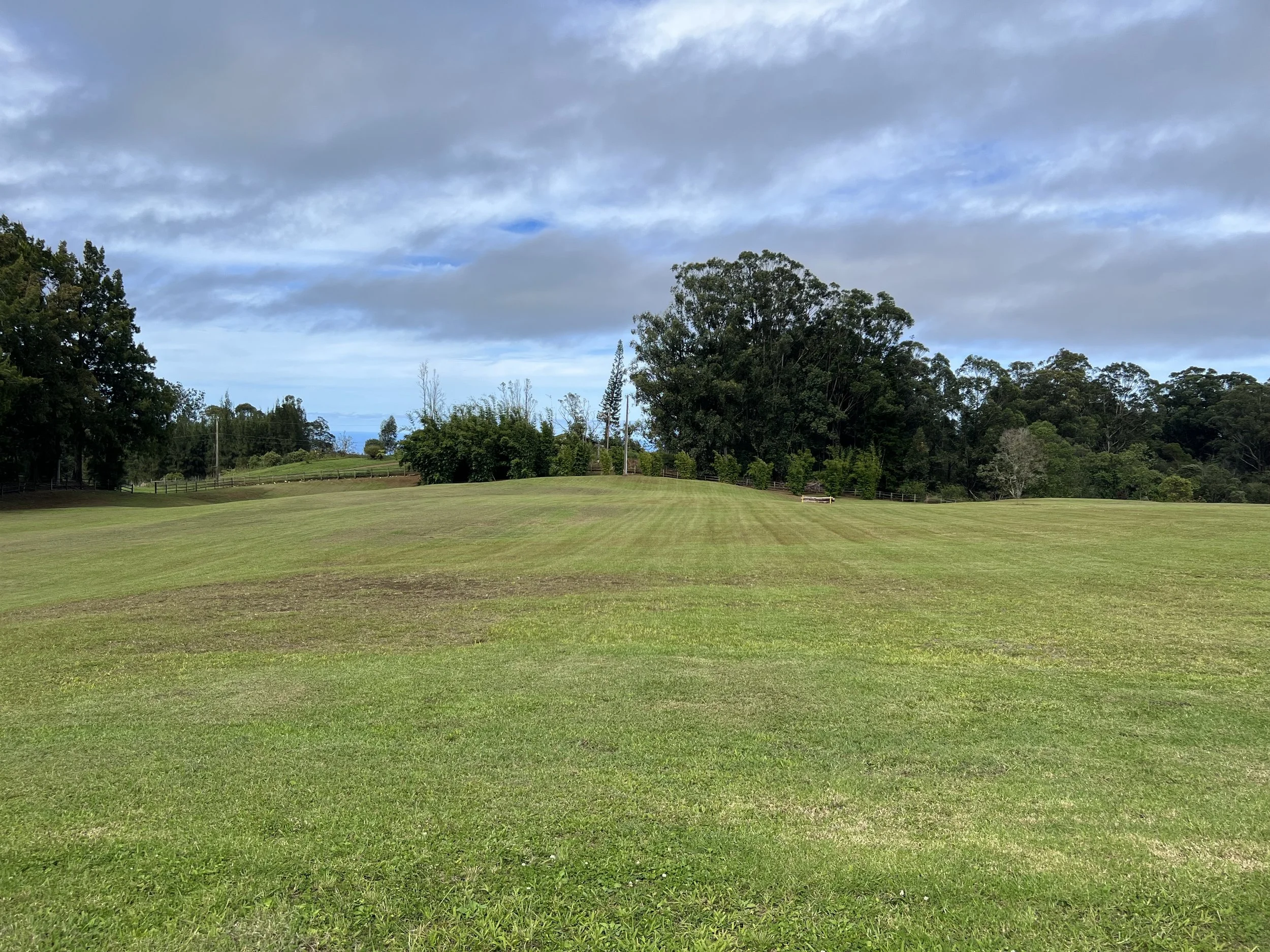 Expansive mowed grassy field bordered by trees and fences beneath a cloudy blue sky