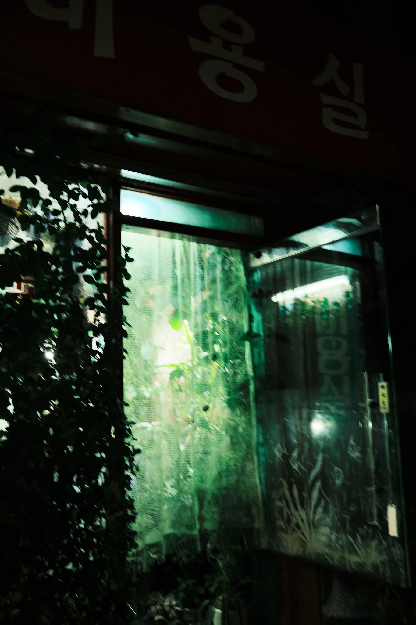 Dimly lit storefront with glass windows, leafy plants, and partially visible signage at night