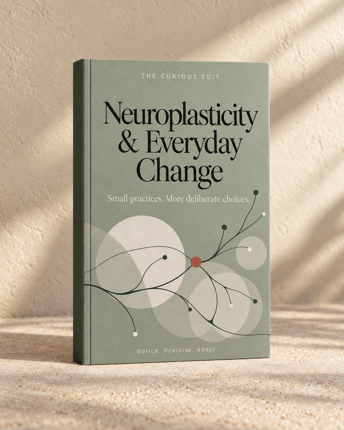 Neuroplasticity & Everyday Change