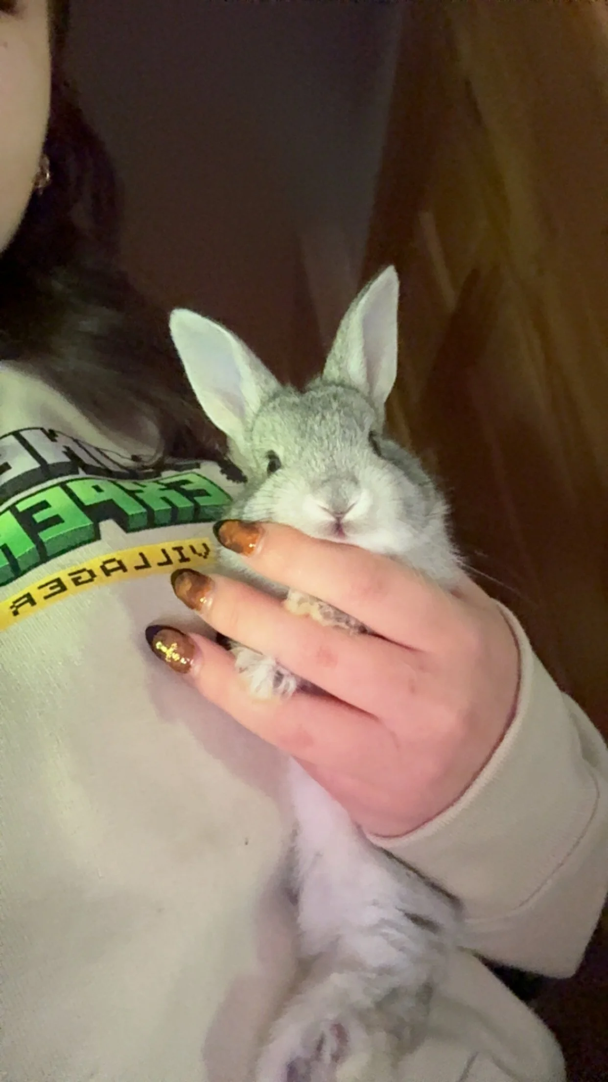 Person gently holding a small gray-and-white rabbit on their lap.