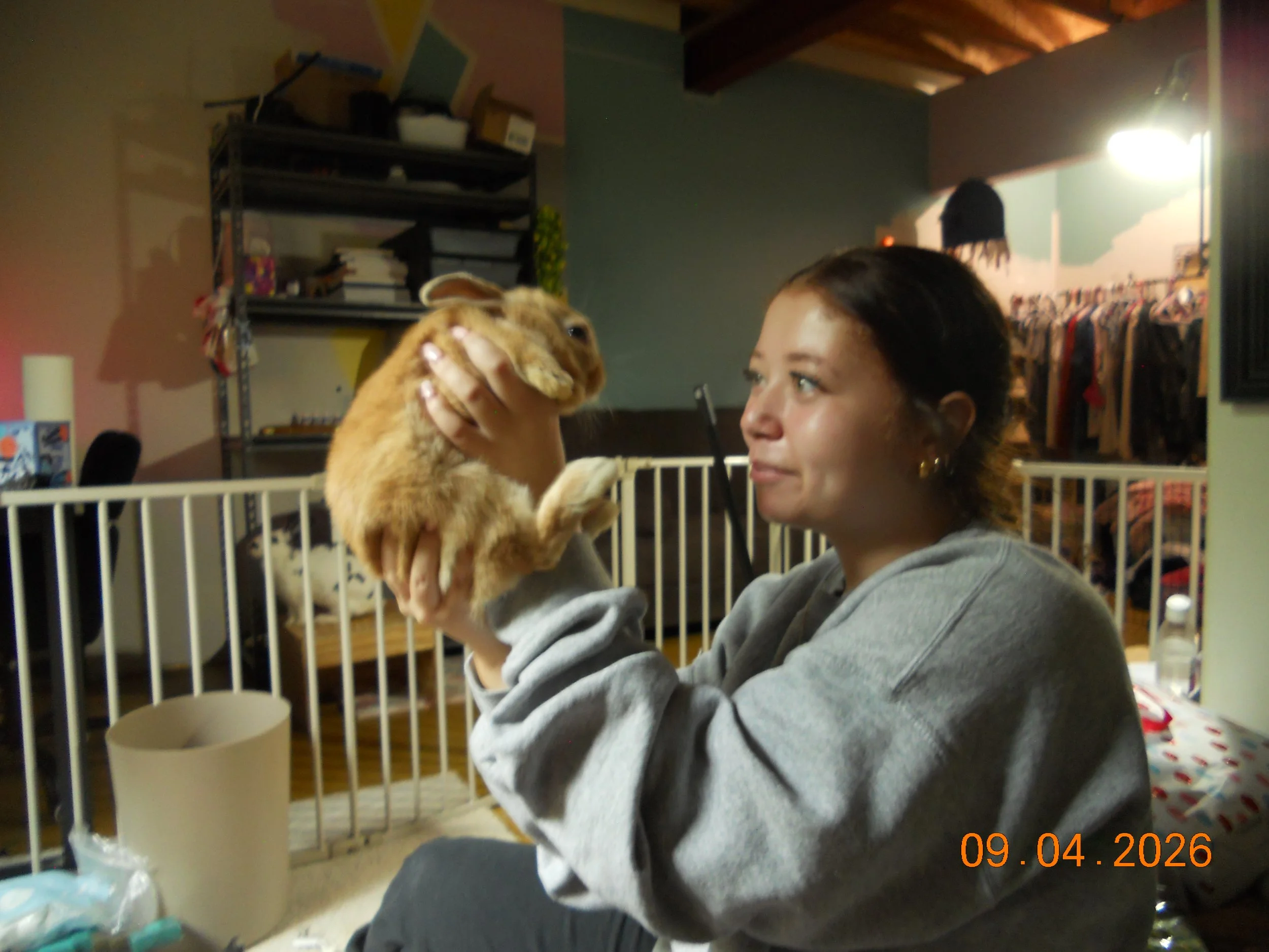 Woman holding a tan lop-eared rabbit indoors beside a white pet pen