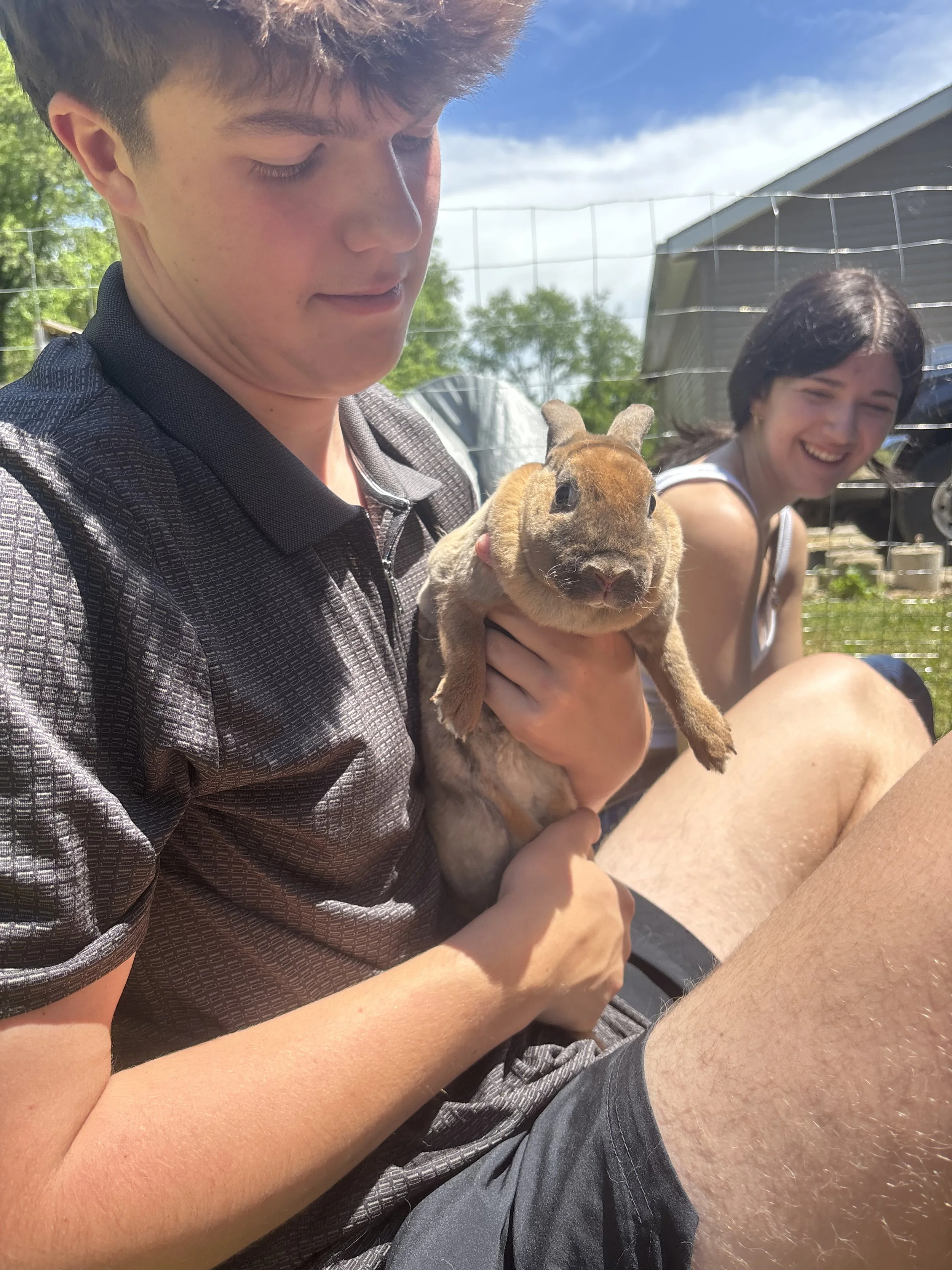 People holding a young wallaby outdoors at a wildlife enclosure