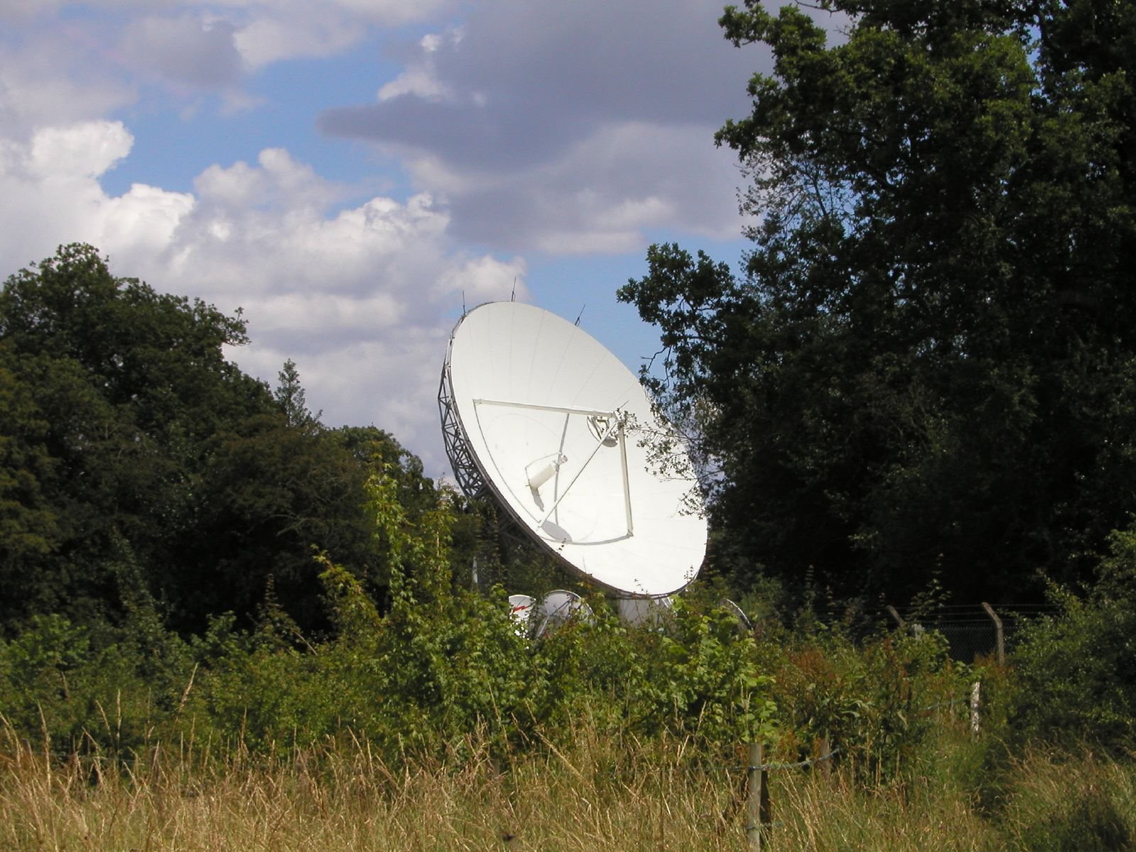 Large white satellite dish surrounded by trees and tall grass under a partly cloudy blue sky