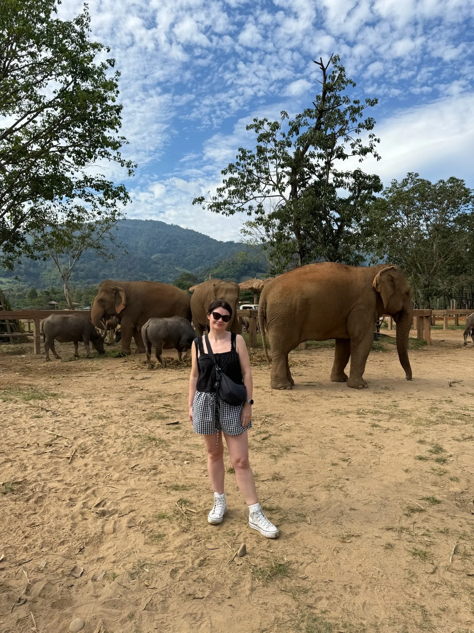 Woman posing with Asian elephants at a sanctuary beneath a mountain and cloudy blue sky