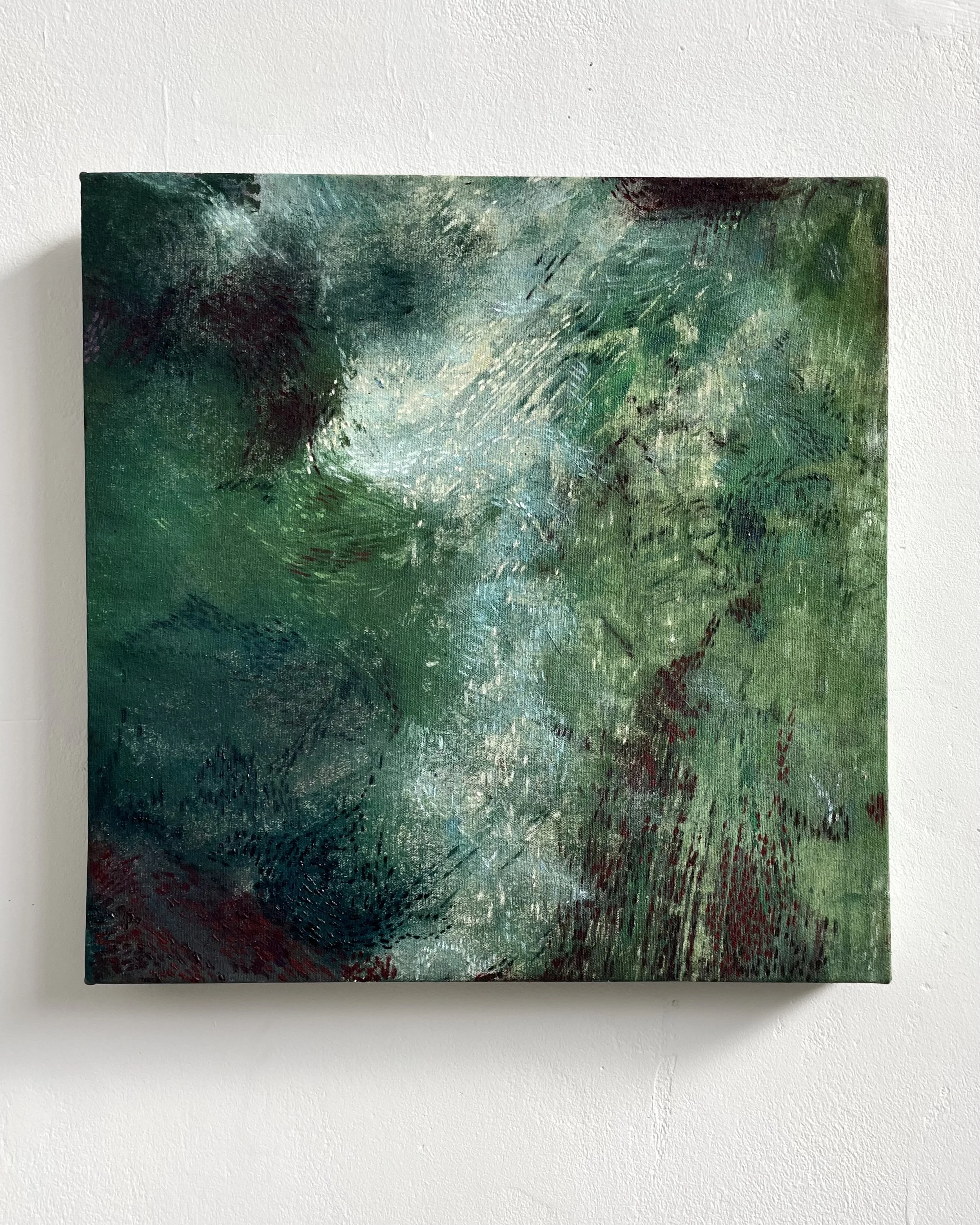 'Alba' oil on canvas 30 x 30cm