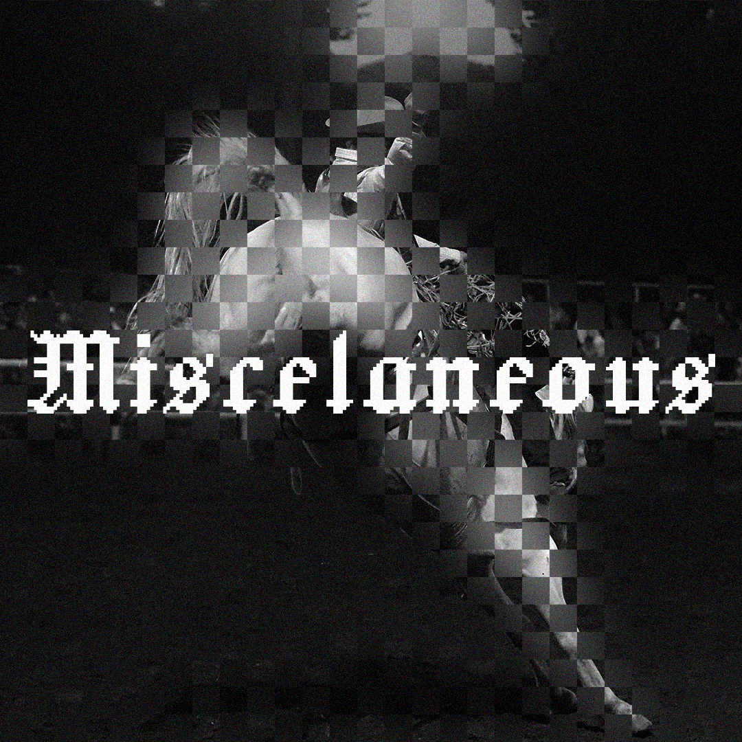 website dividers misc.png